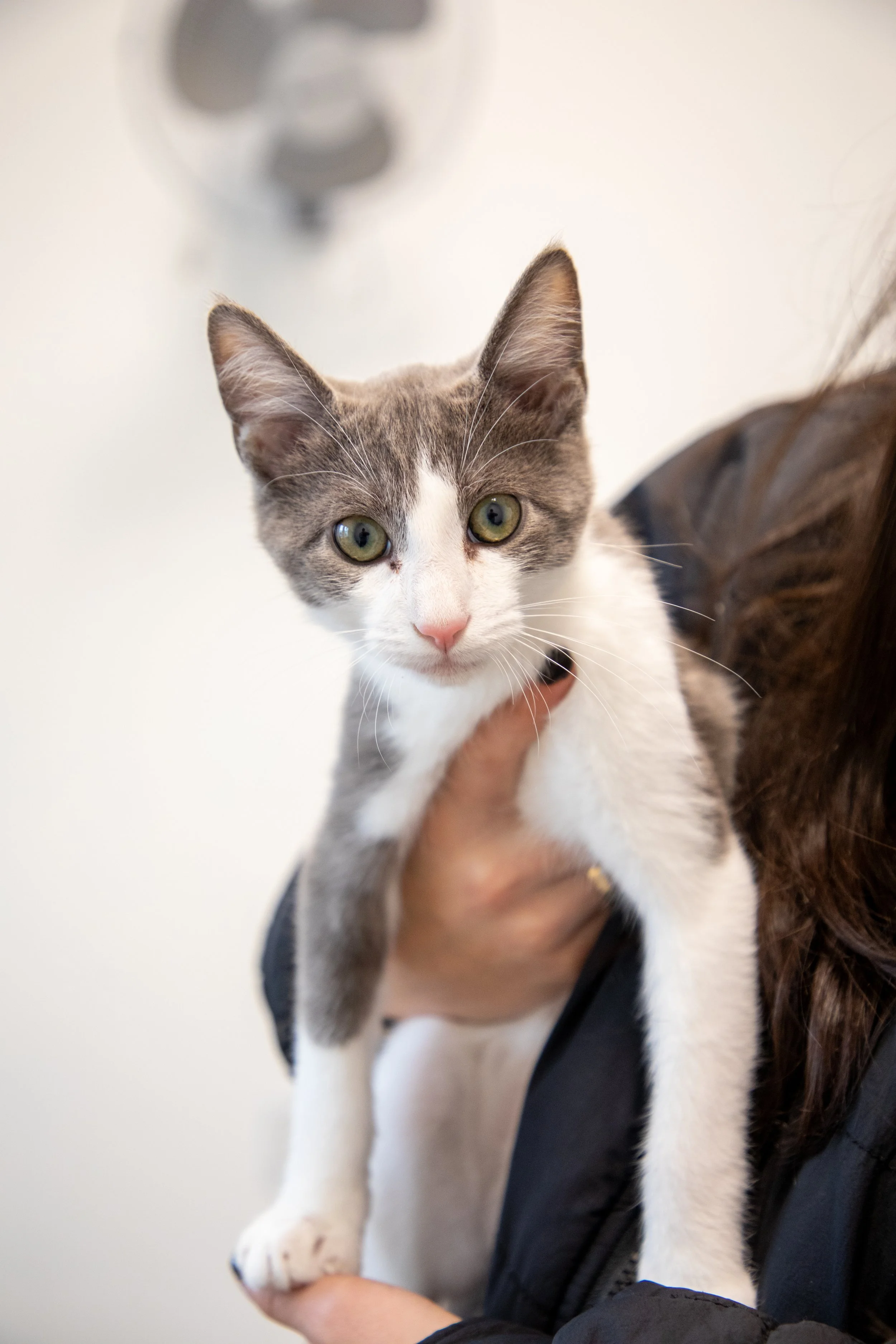 Will Locke Pet Photography- Hope For Life 12:28:2025 15.jpg