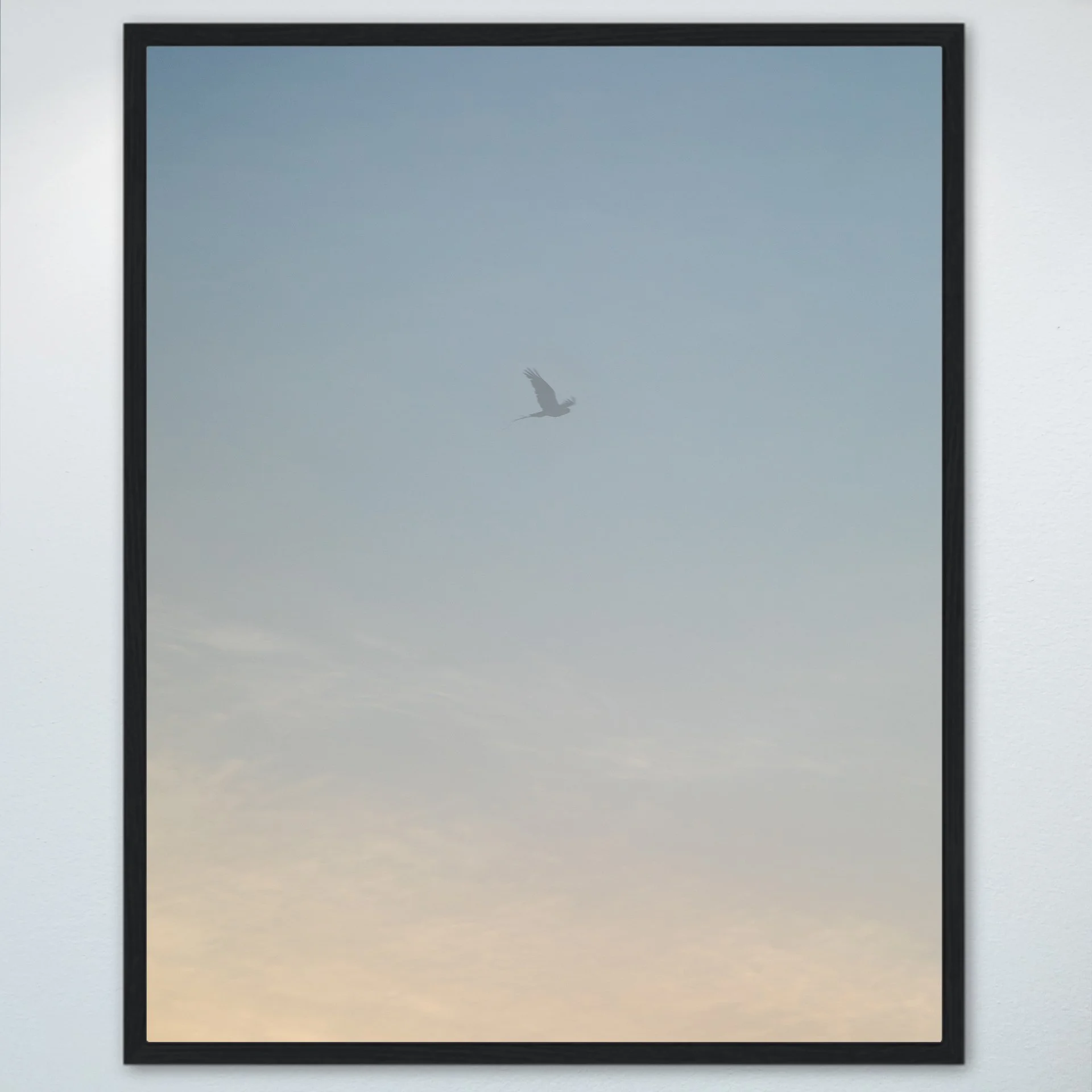 1:1 Seagull thru Fog- Wood.jpg