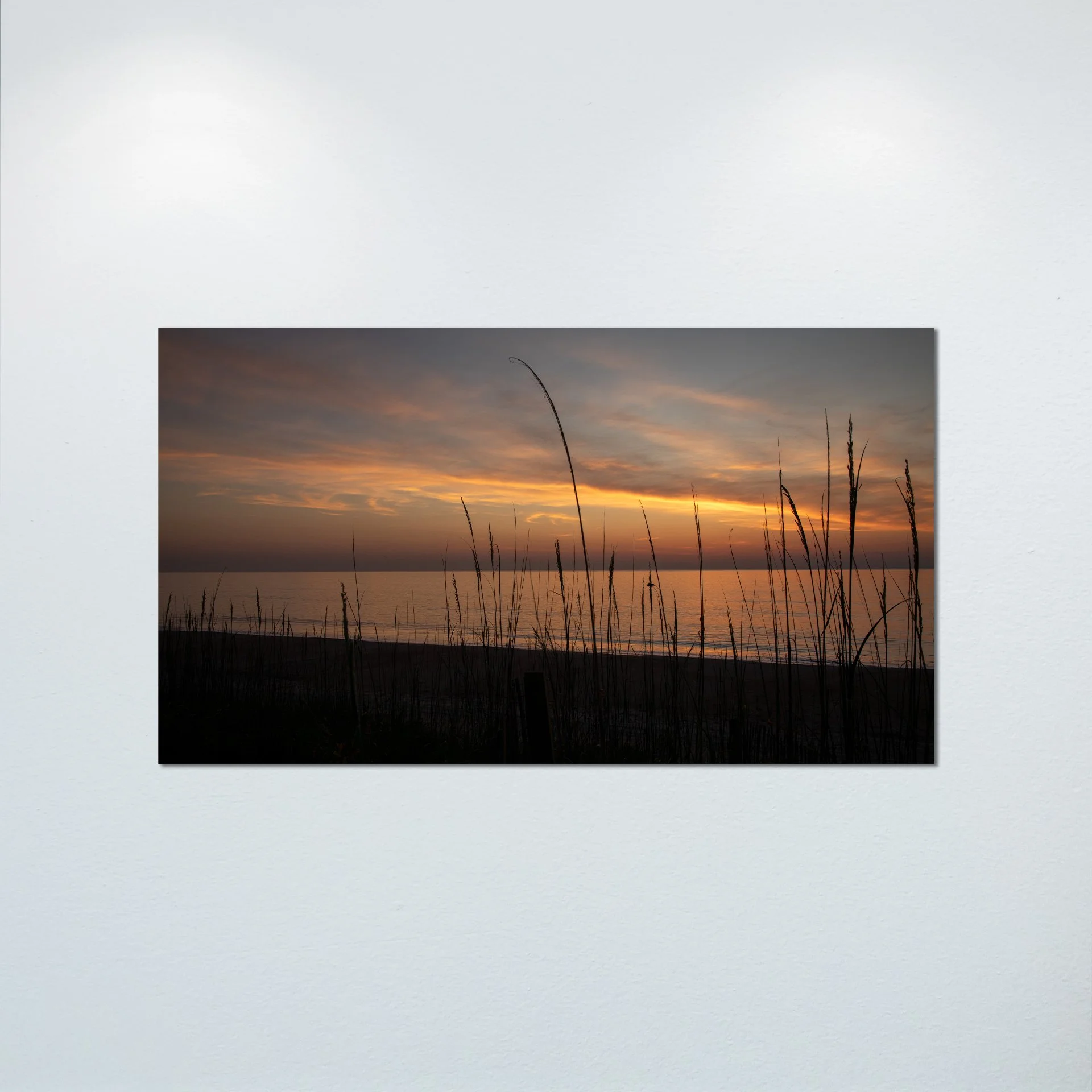 1/1 Sunrise behind Dunegrass