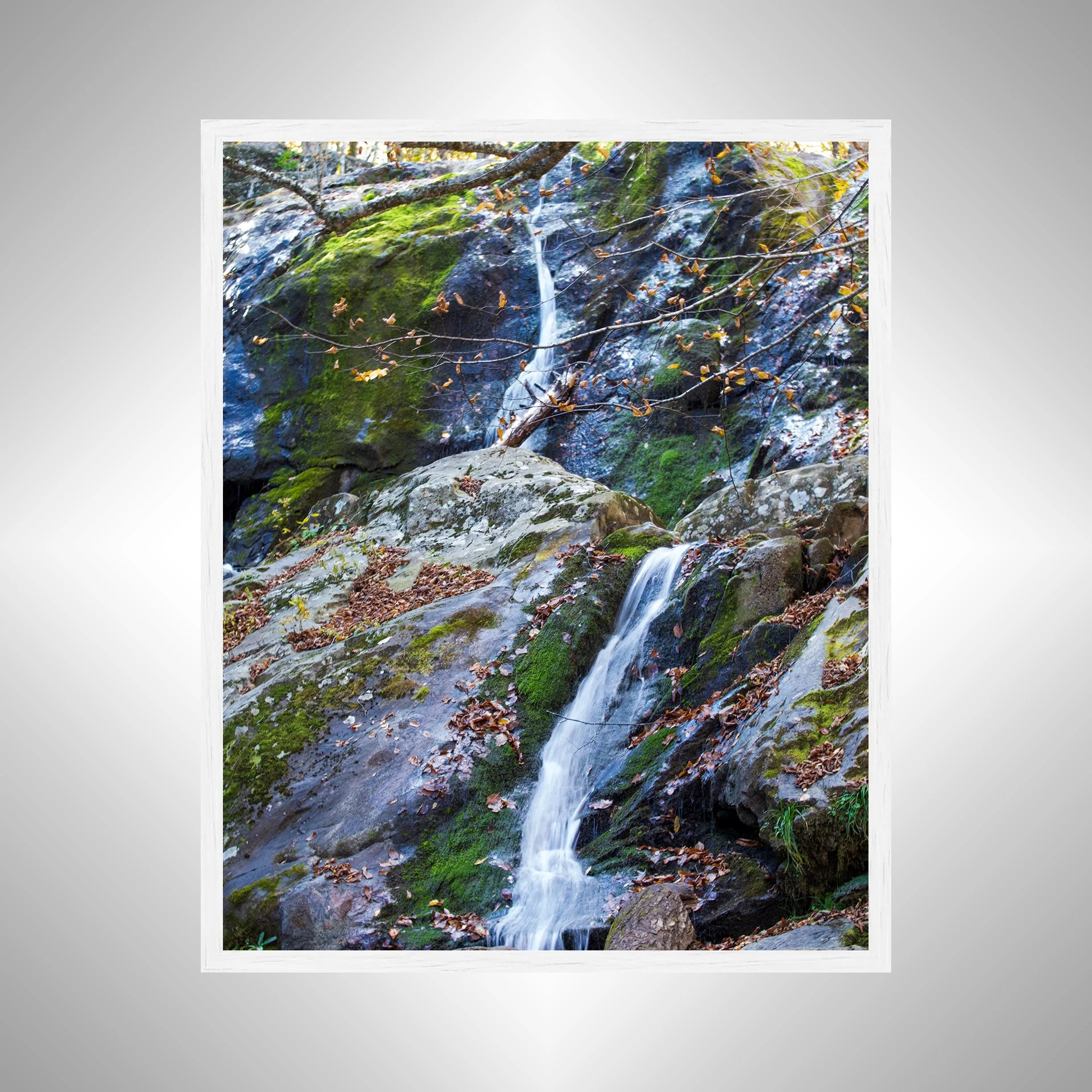 1:1 Shenandoah National Park, Dark Hollow Falls Waterfall- White.jpg