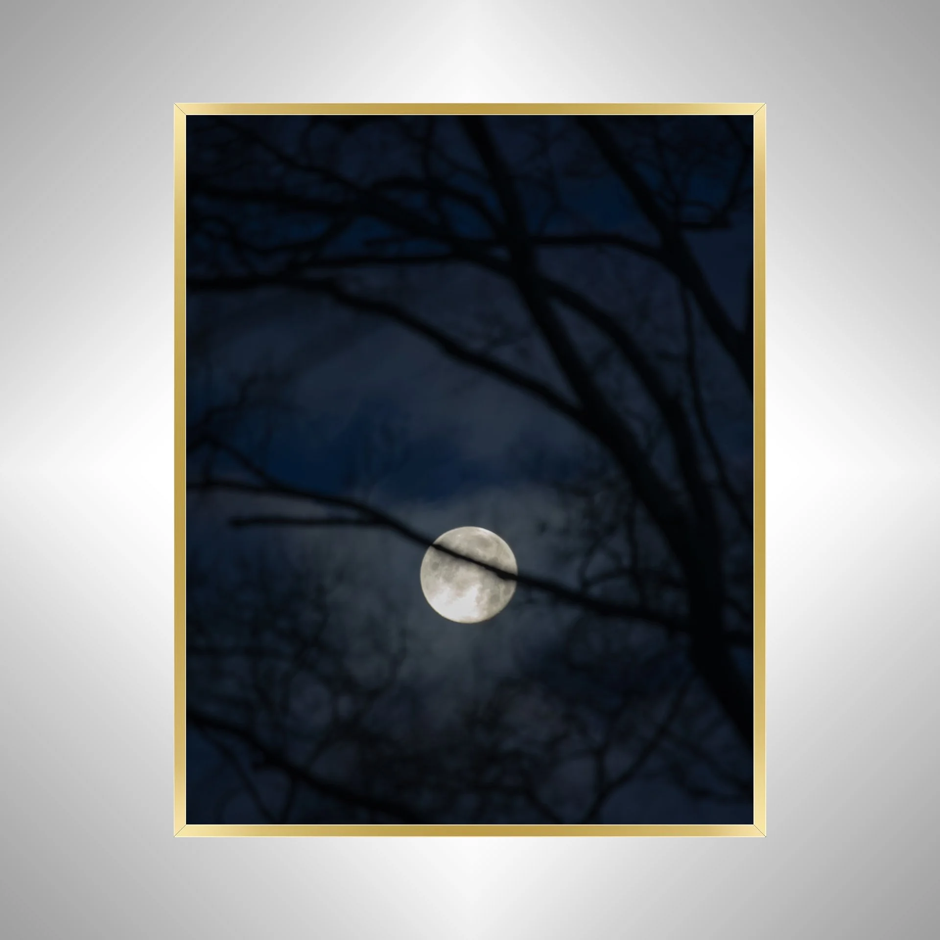 1:10 Moon thru Tree Branches- Gold.jpg