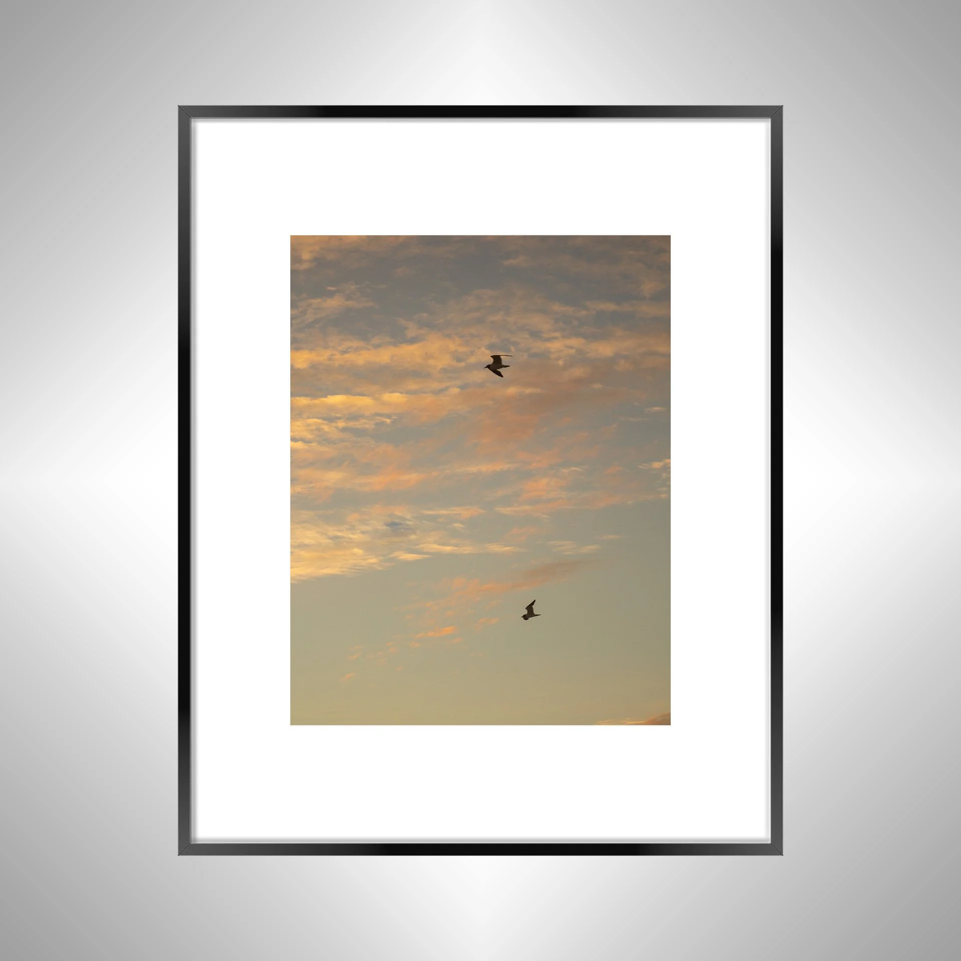 1:10 Love Birds (Seagulls)- Black w: Border.jpg