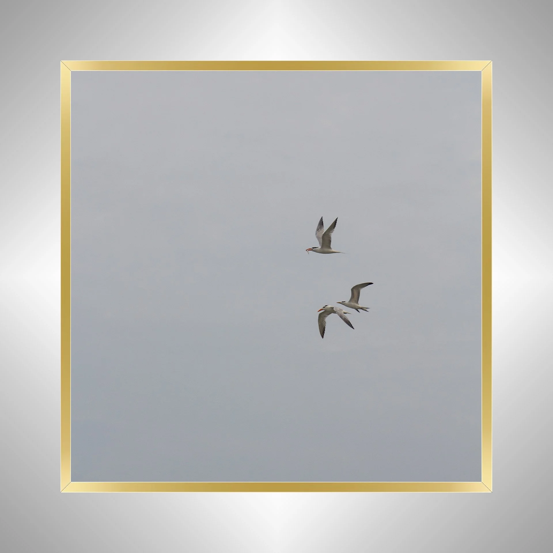 1:1 Common Tern Family Breakfast (Square)- Gold Metal.jpg