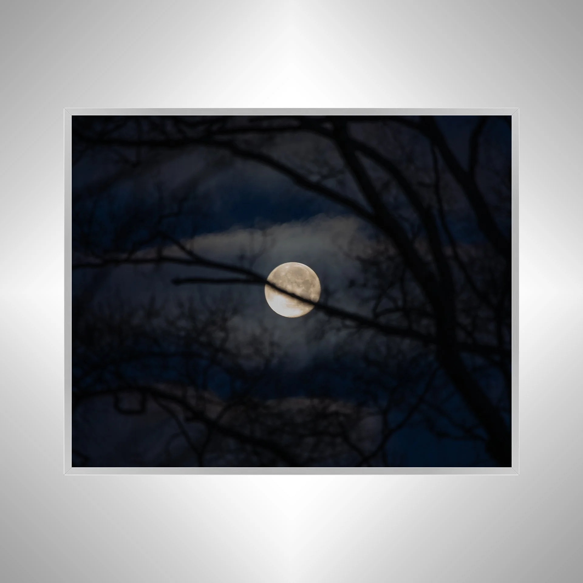 1:1 Moon thru Tree Branches- Silver Metal.jpg