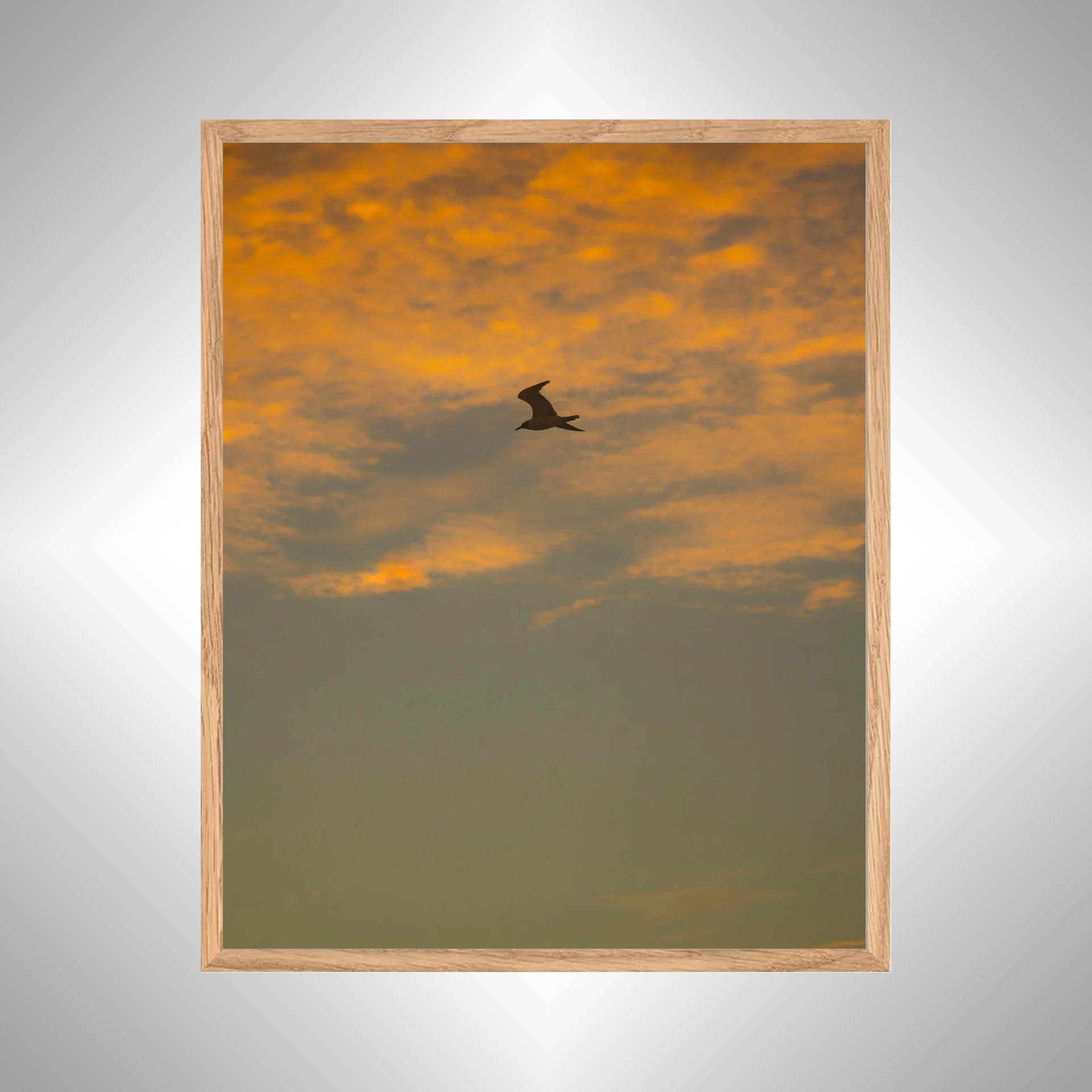 1:1 Seagull Flying with Orange Clouds- White copy NATTY.jpg