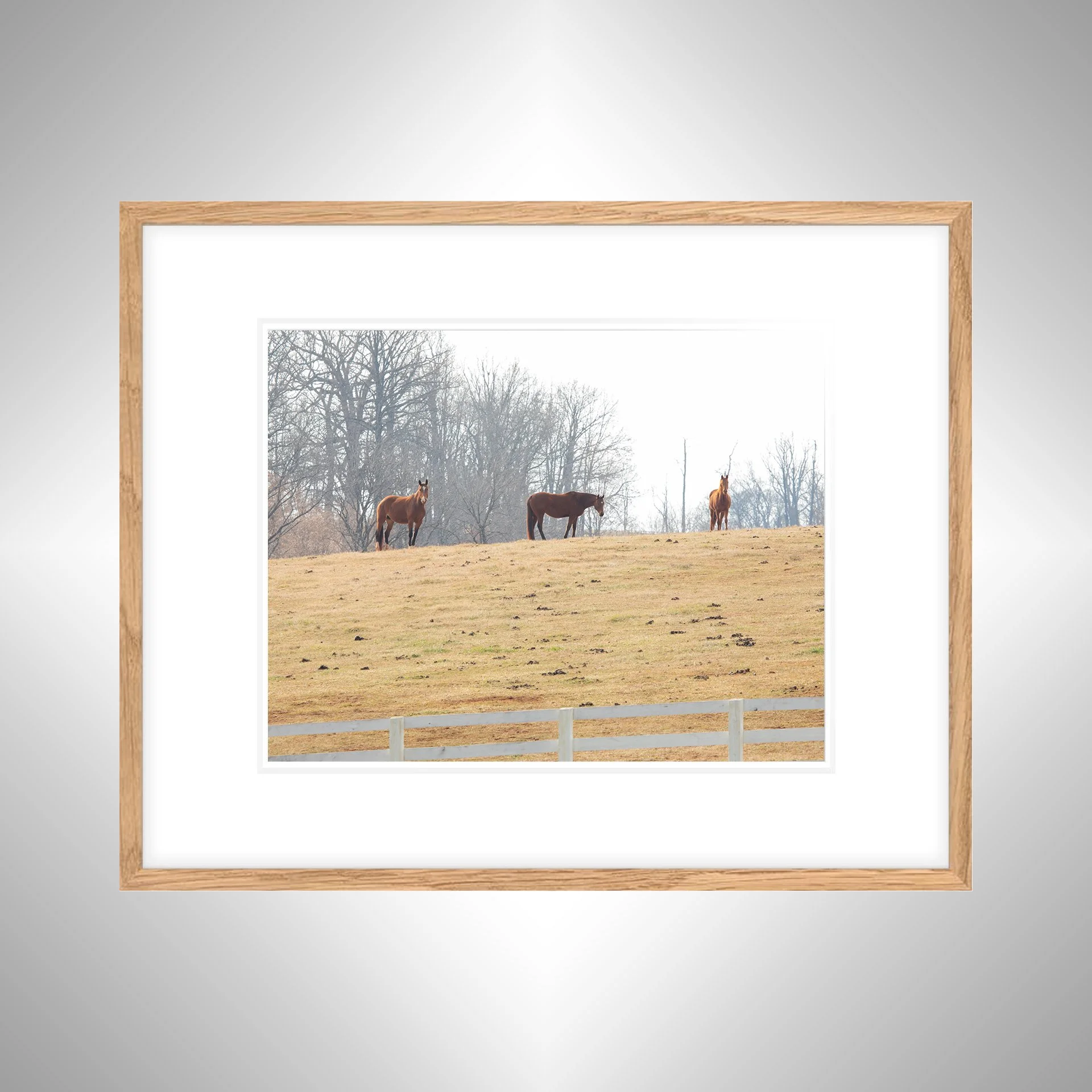 1:10 Horse Hill- White w: Border copy NATTY.jpg
