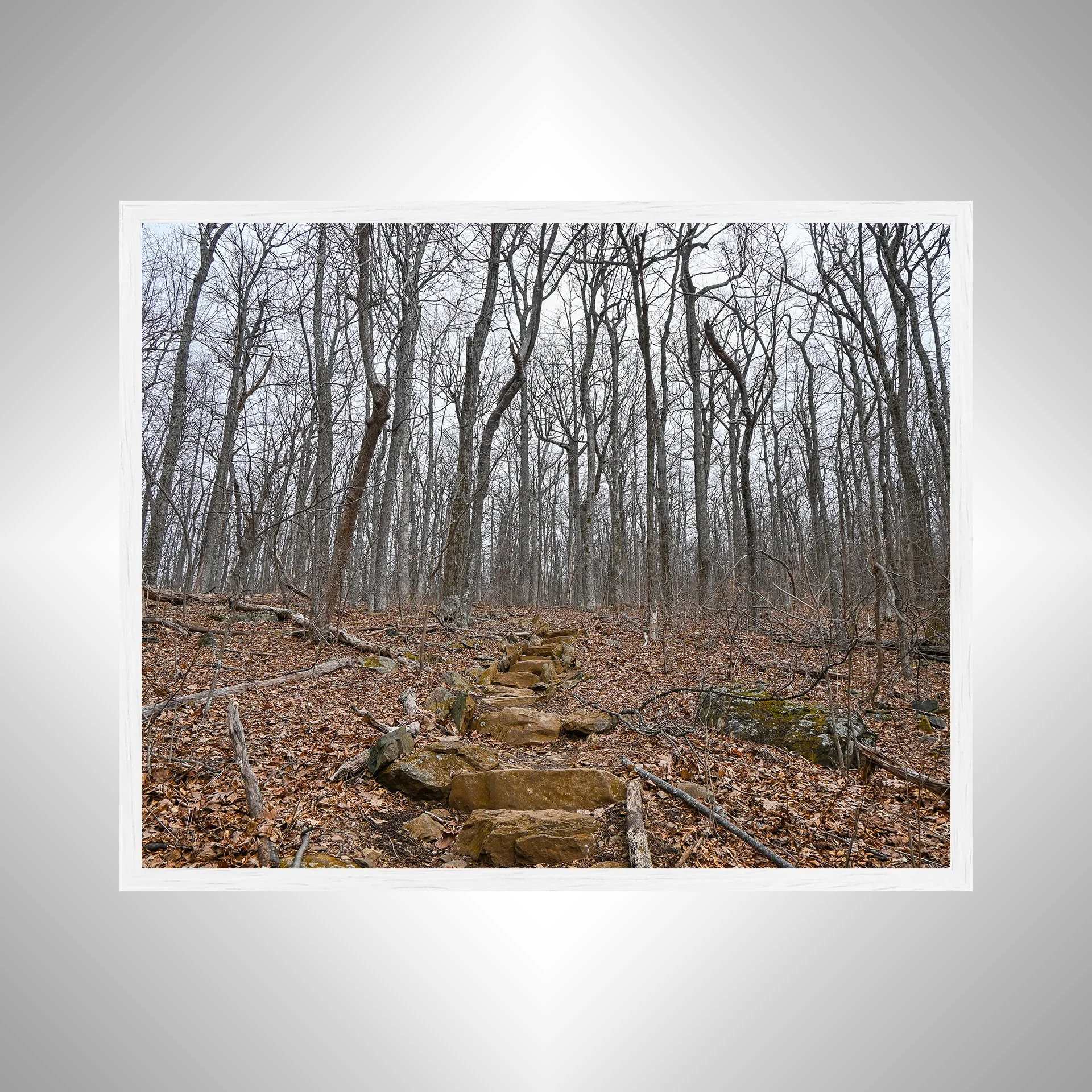 1:1 Nellysford Mountain Rock Staircase in Winter- White Wood.jpg