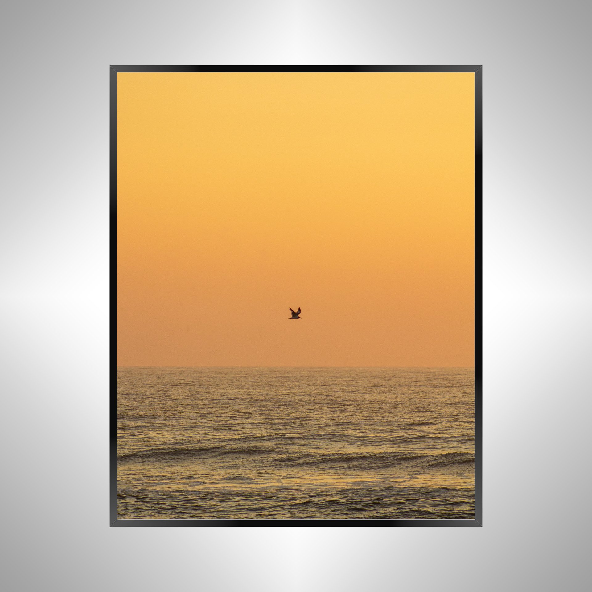 1/10 Sunrise Soaring Seagull
