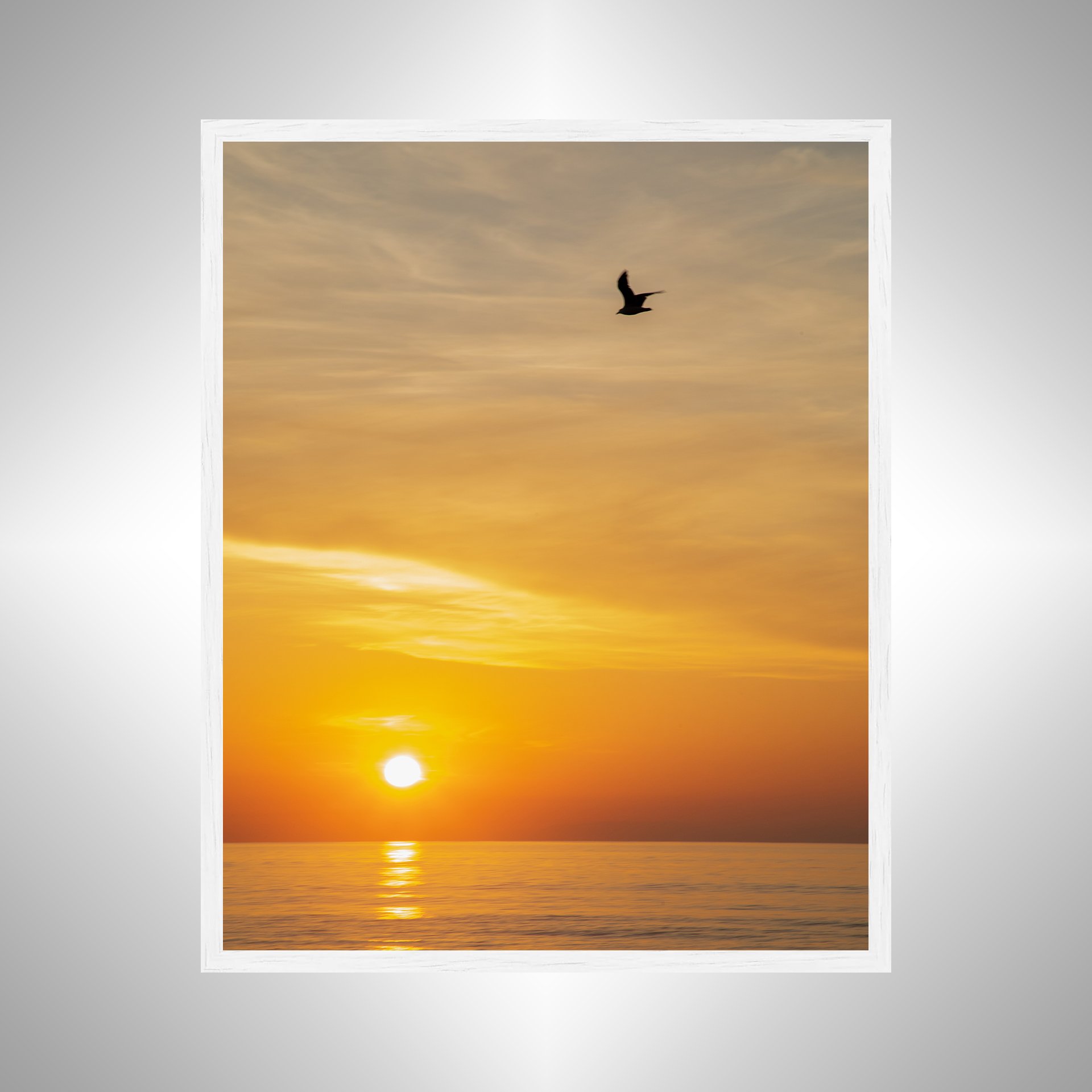 1:1 Seagull Sunrise- White.jpg