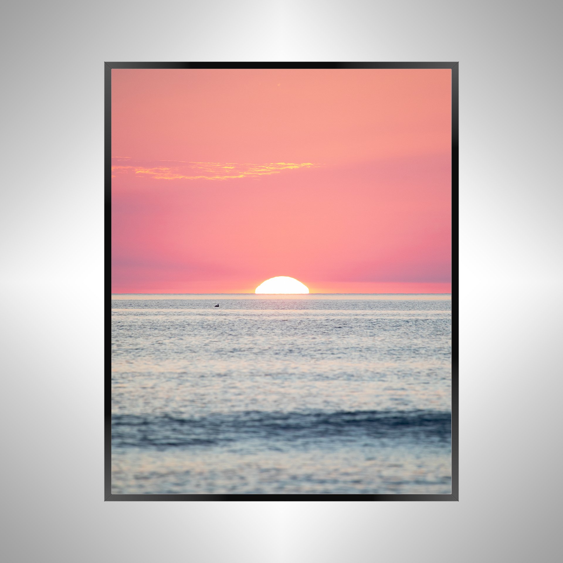 1/1 Pelican Watching Sunrise (Portrait)