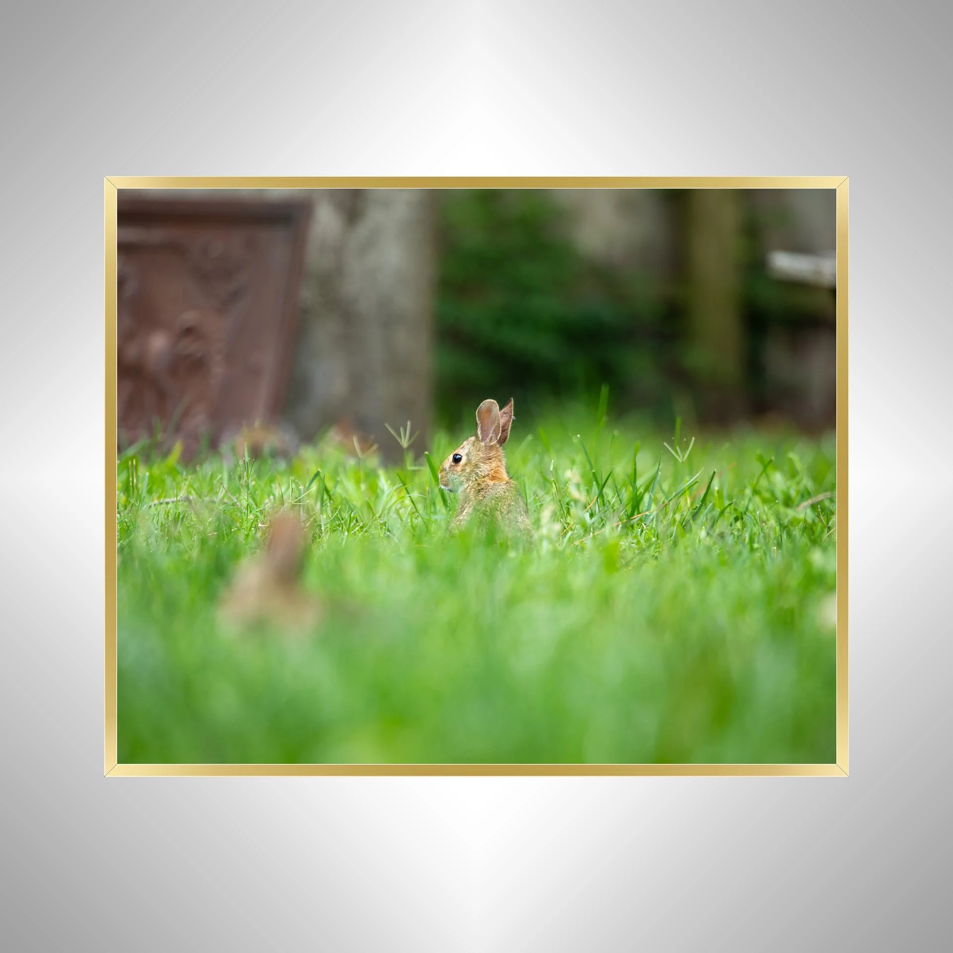 1:1 Standing Bunny- Gold.jpg