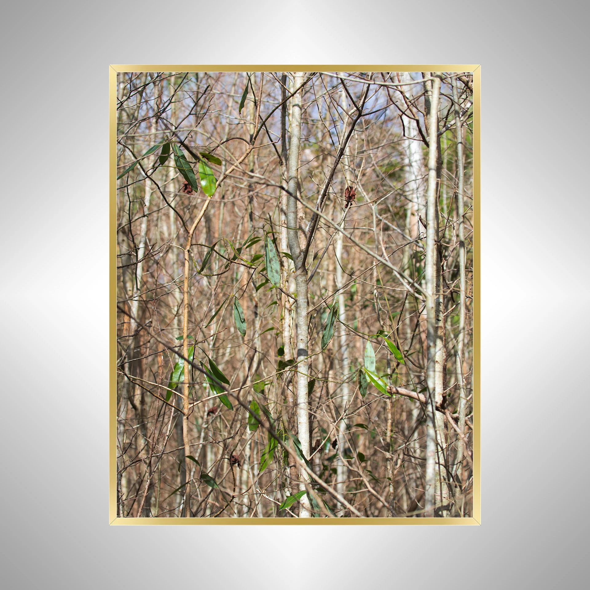 1:10 Hermitage Foliage- Gold.jpg