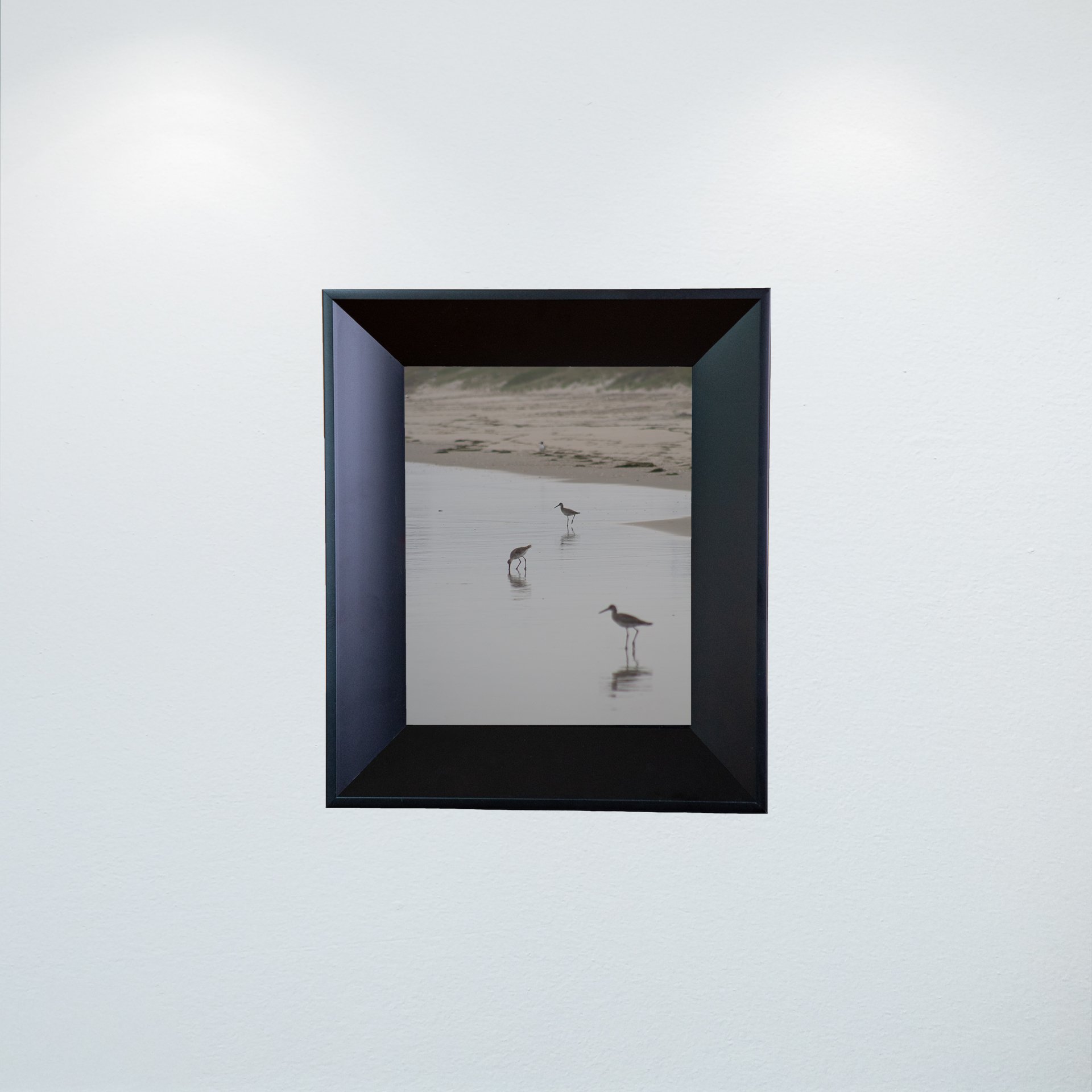1:1 Three Willets Reflection- Mini.jpg