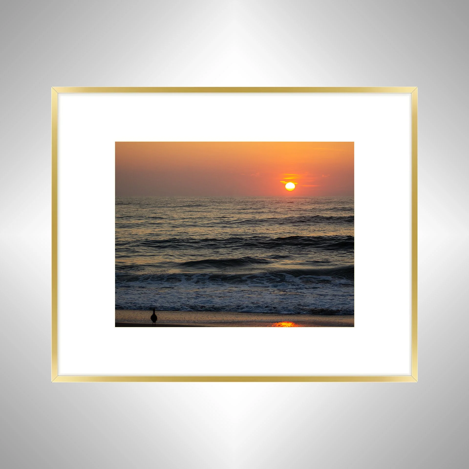 1:1 Willet Watching Sunrise- gold w: Border.jpg