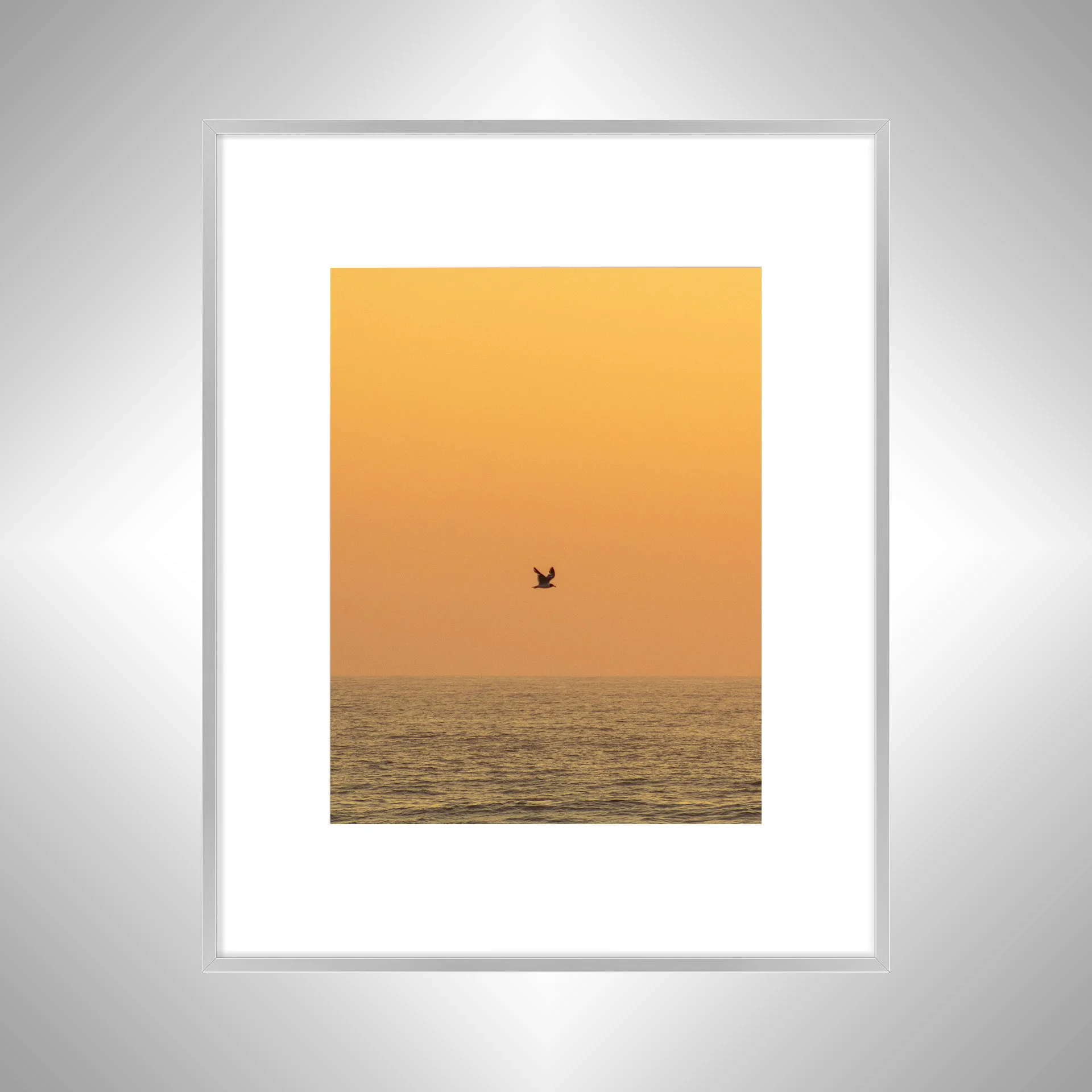1:10 Sunrise Soaring Seagull-swb.jpg