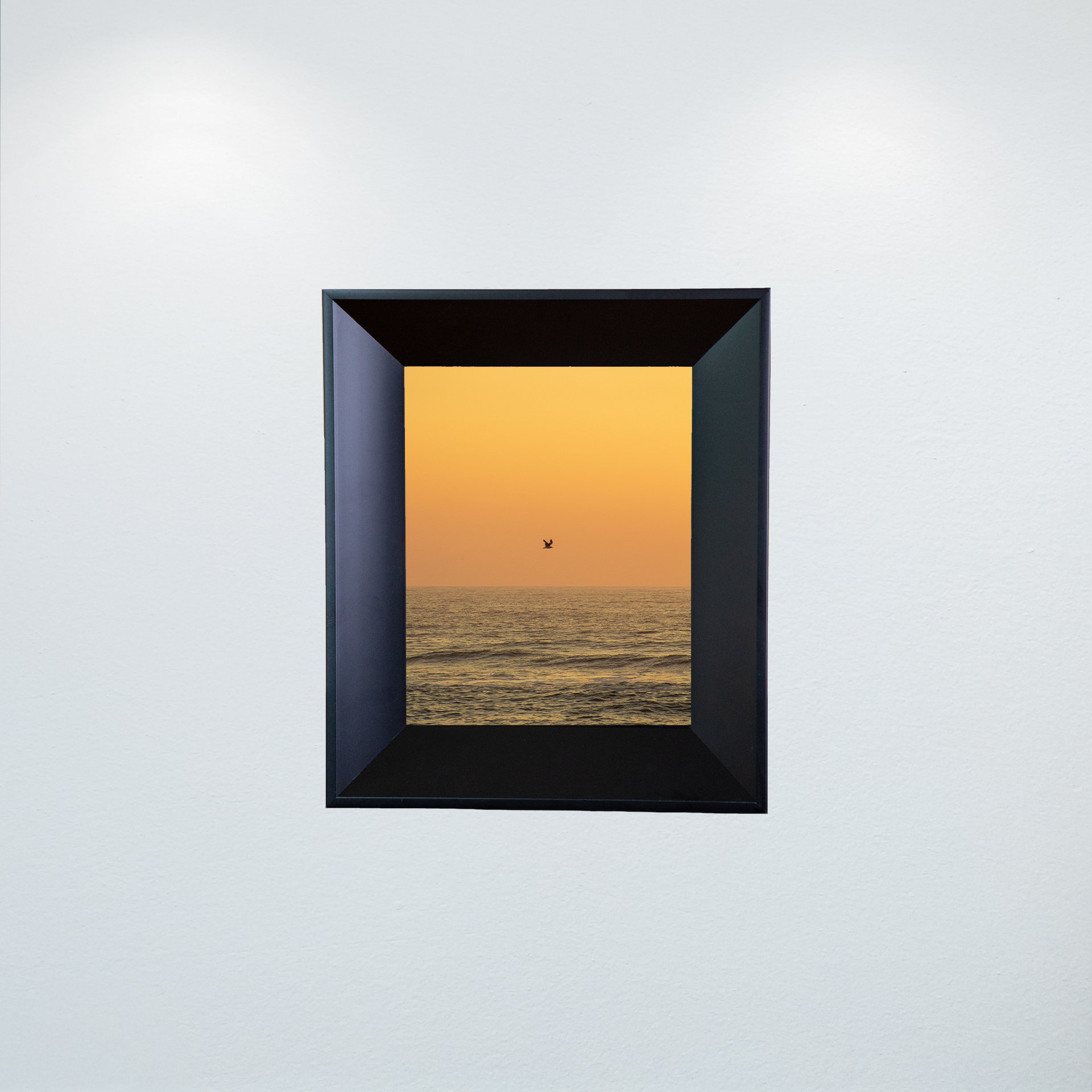 1:10 Sunrise Soaring Seagull- Mini.jpg