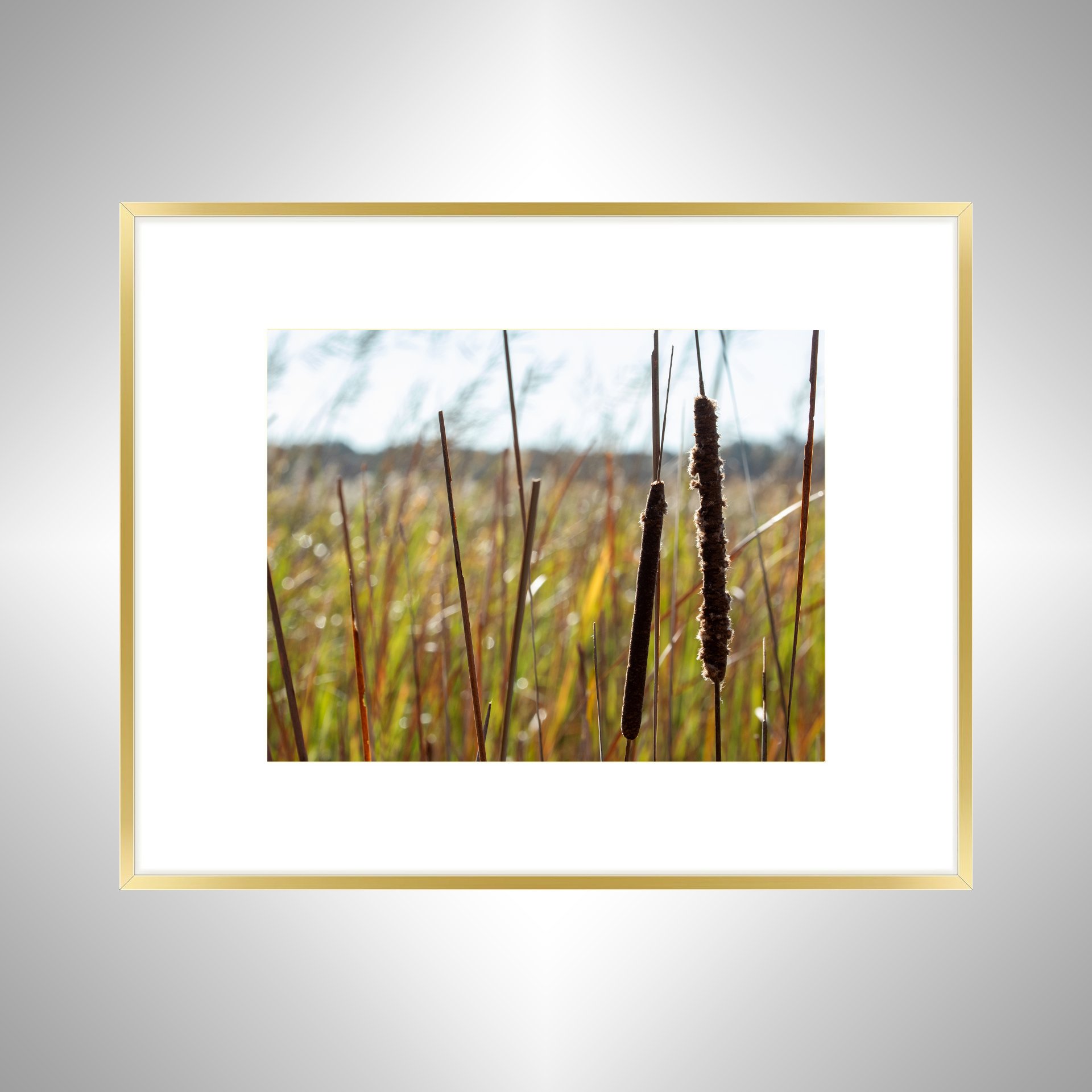 1:1 Back Bay Cattails- Gold Metal w: Border.jpg