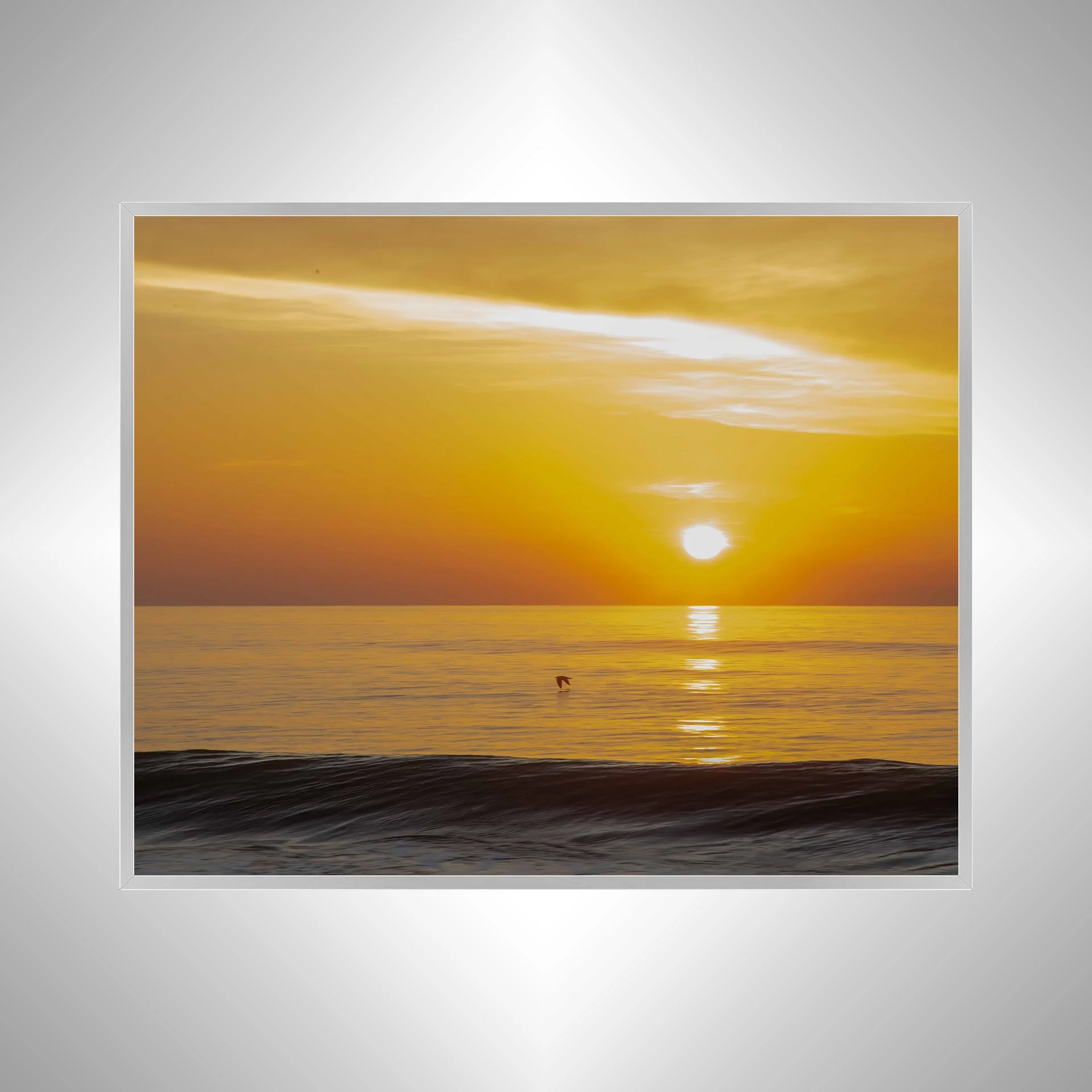 1:1 Sea 'Gull Soaring- Silver.jpg