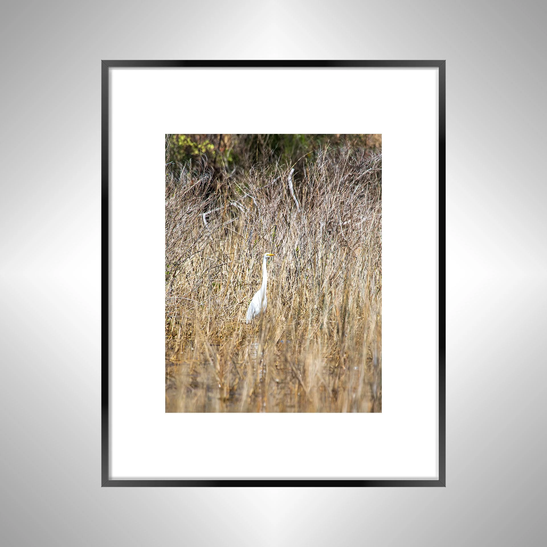 1:1 Wading Egret- Black w: Border.jpg