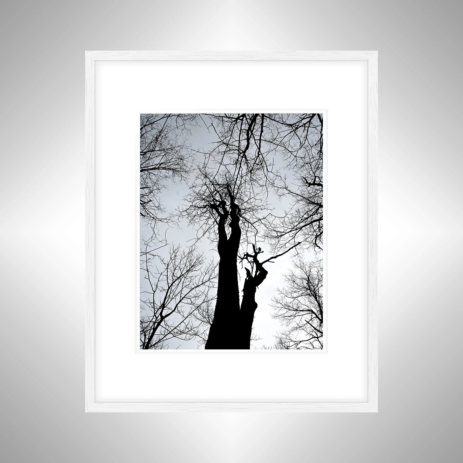 1:1 Nellysford Tree Undershot- White Wood w: Border.jpg