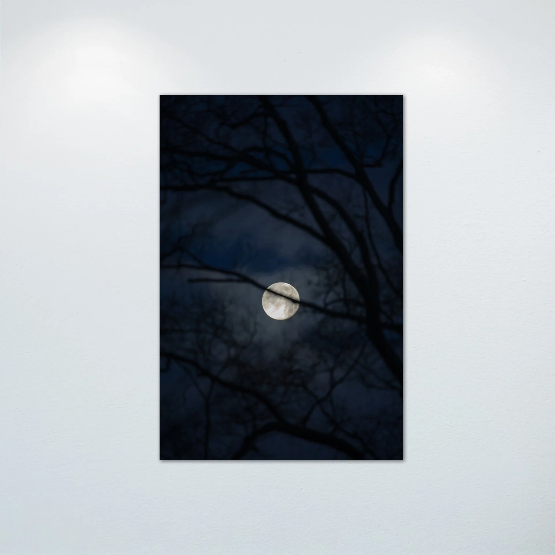 1/10 Moon thru Tree Branches