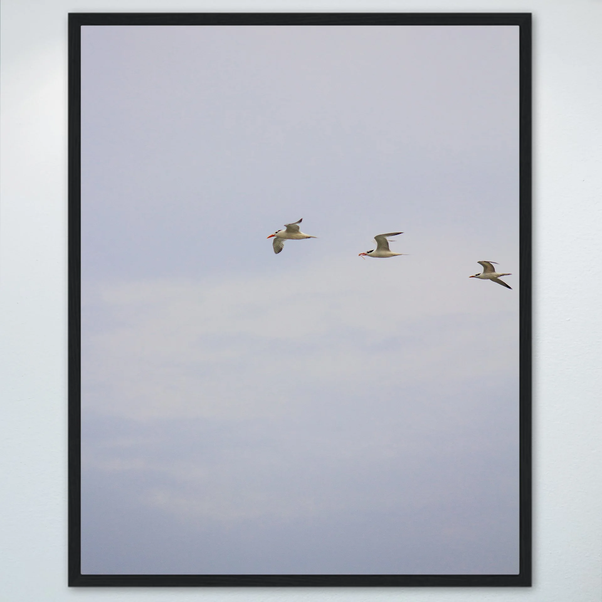 1:1 Trio of Common Tern with Fish- Wood.jpg
