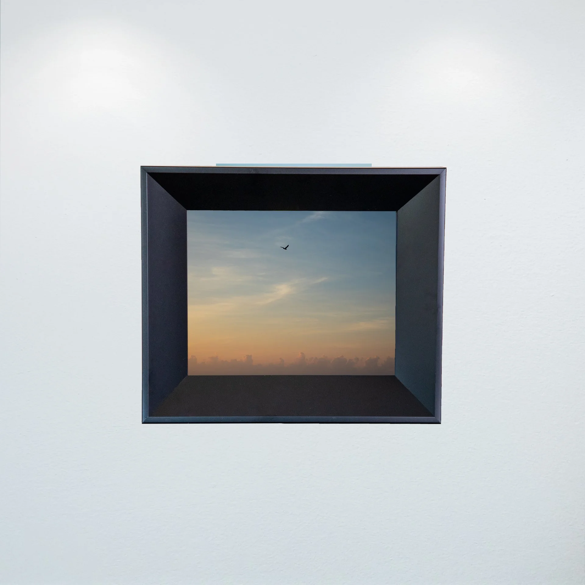 1:1 Seagull infront of Sunrise Clouds- Mini.jpg