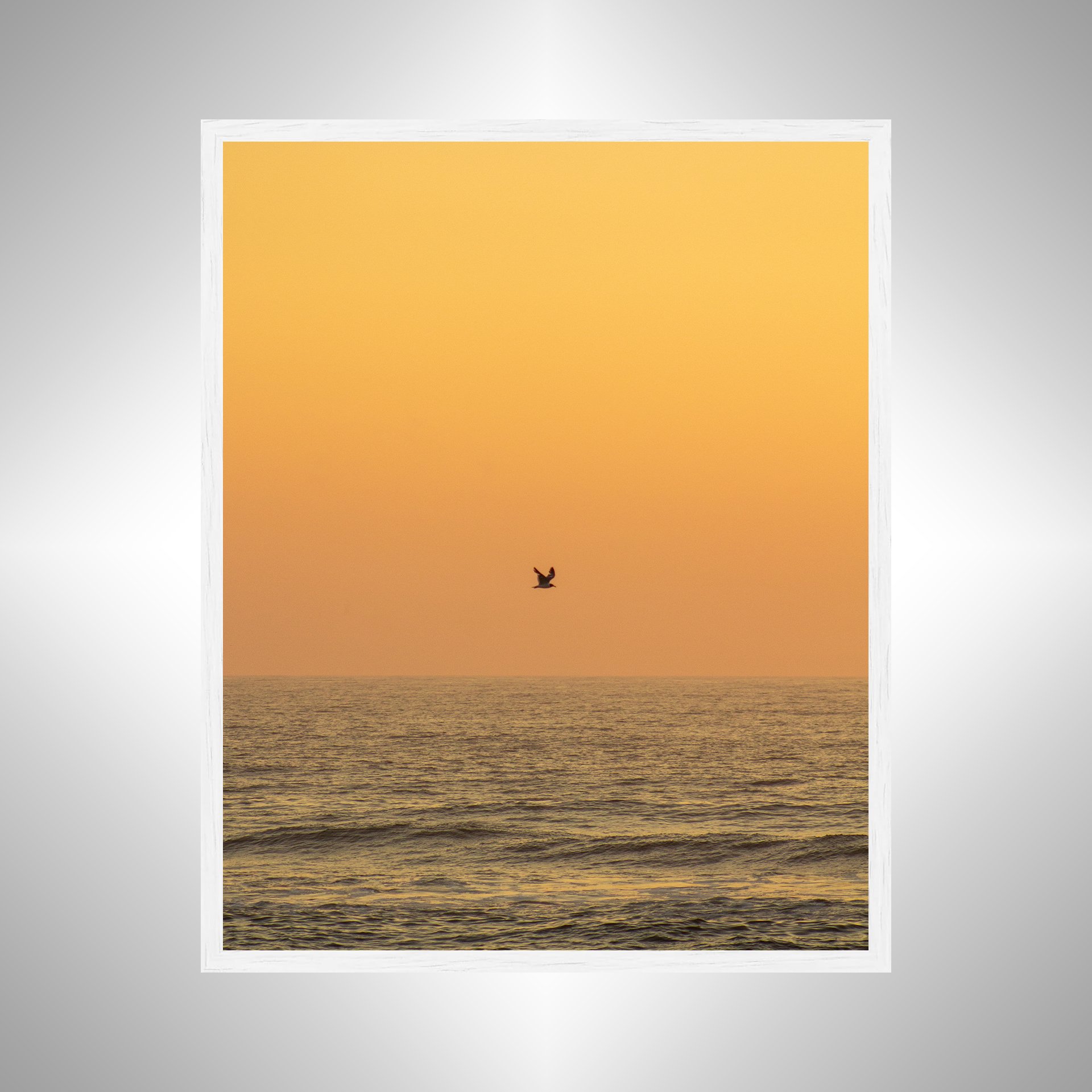 1:10 Sunrise Soaring Seagull-w.jpg