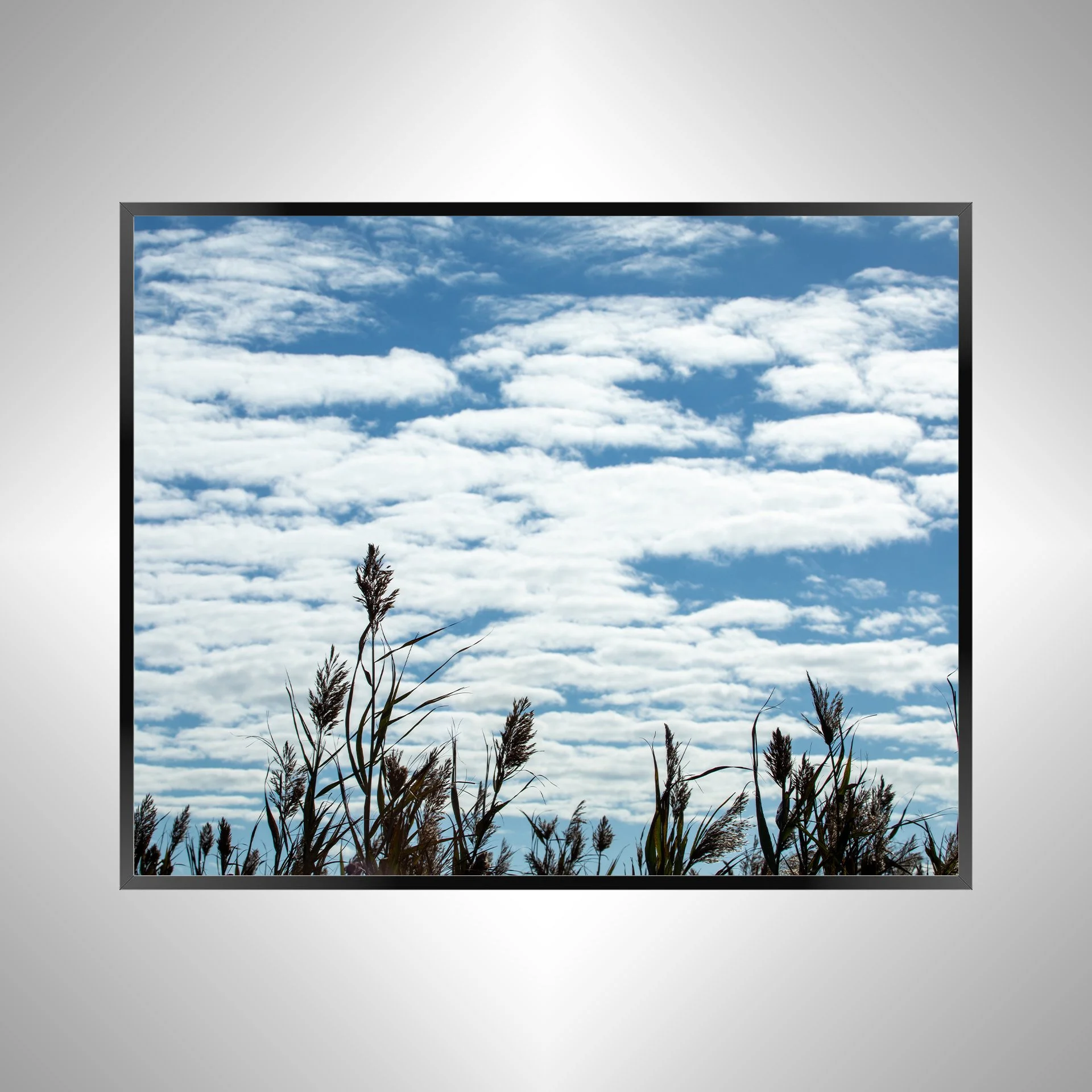 1/1 Back Bay Reeds & Cloudy Sky
