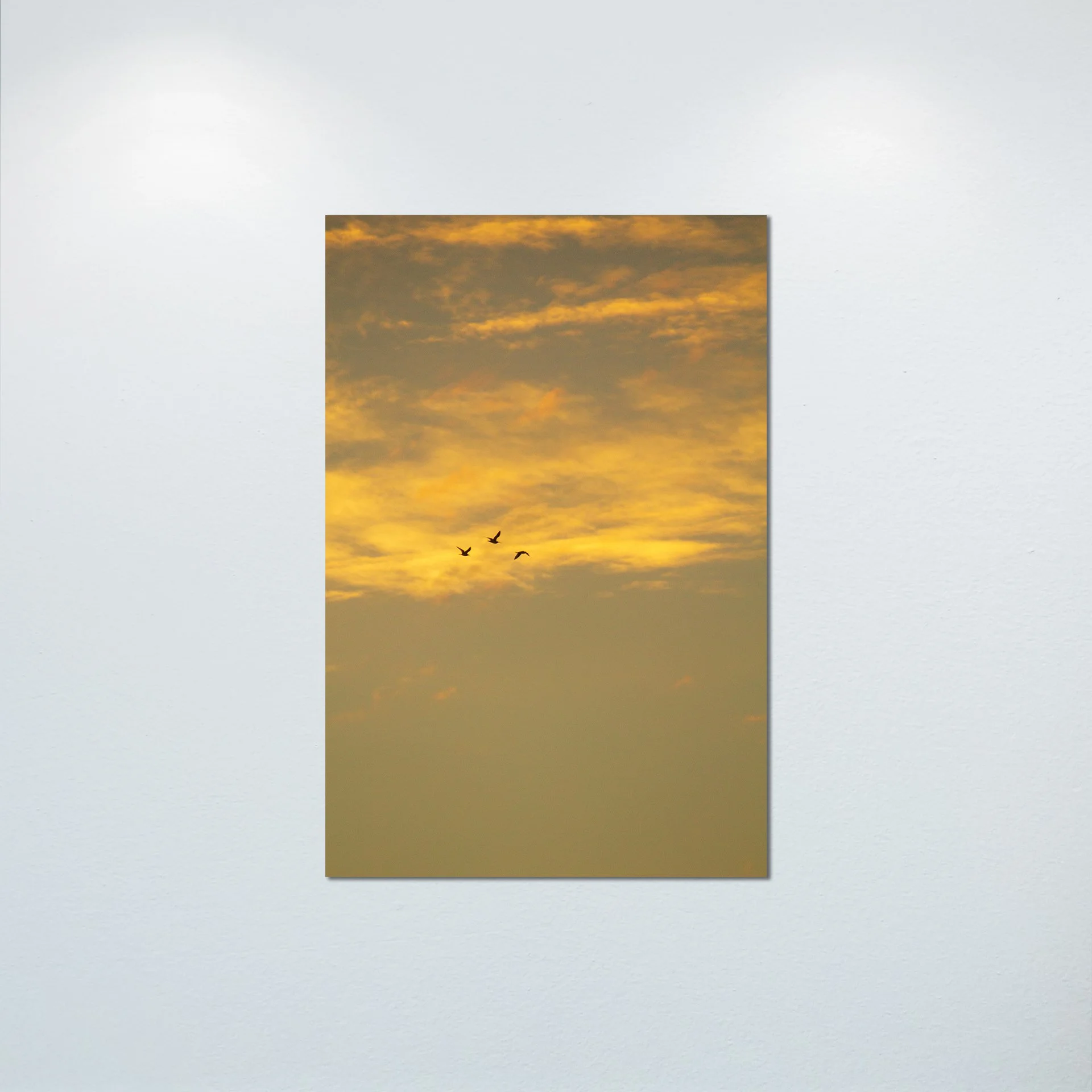 1:1 Trio of Gulls Flying at Sunrise- Poster & Canvas.jpg