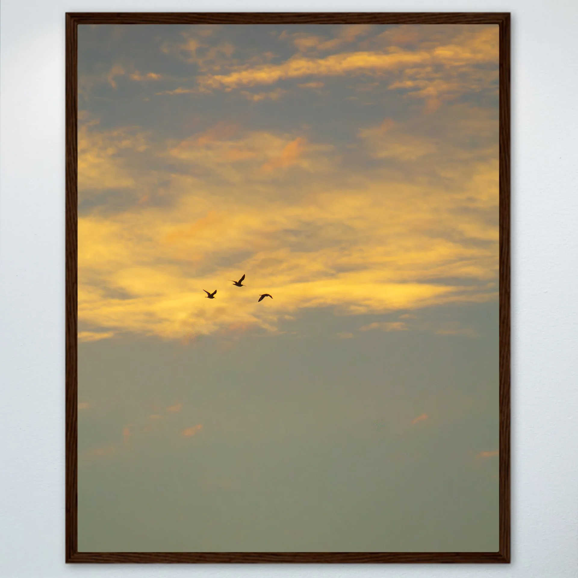 1:1 Trio of Gulls Flying at Sunrise- Wood.jpg