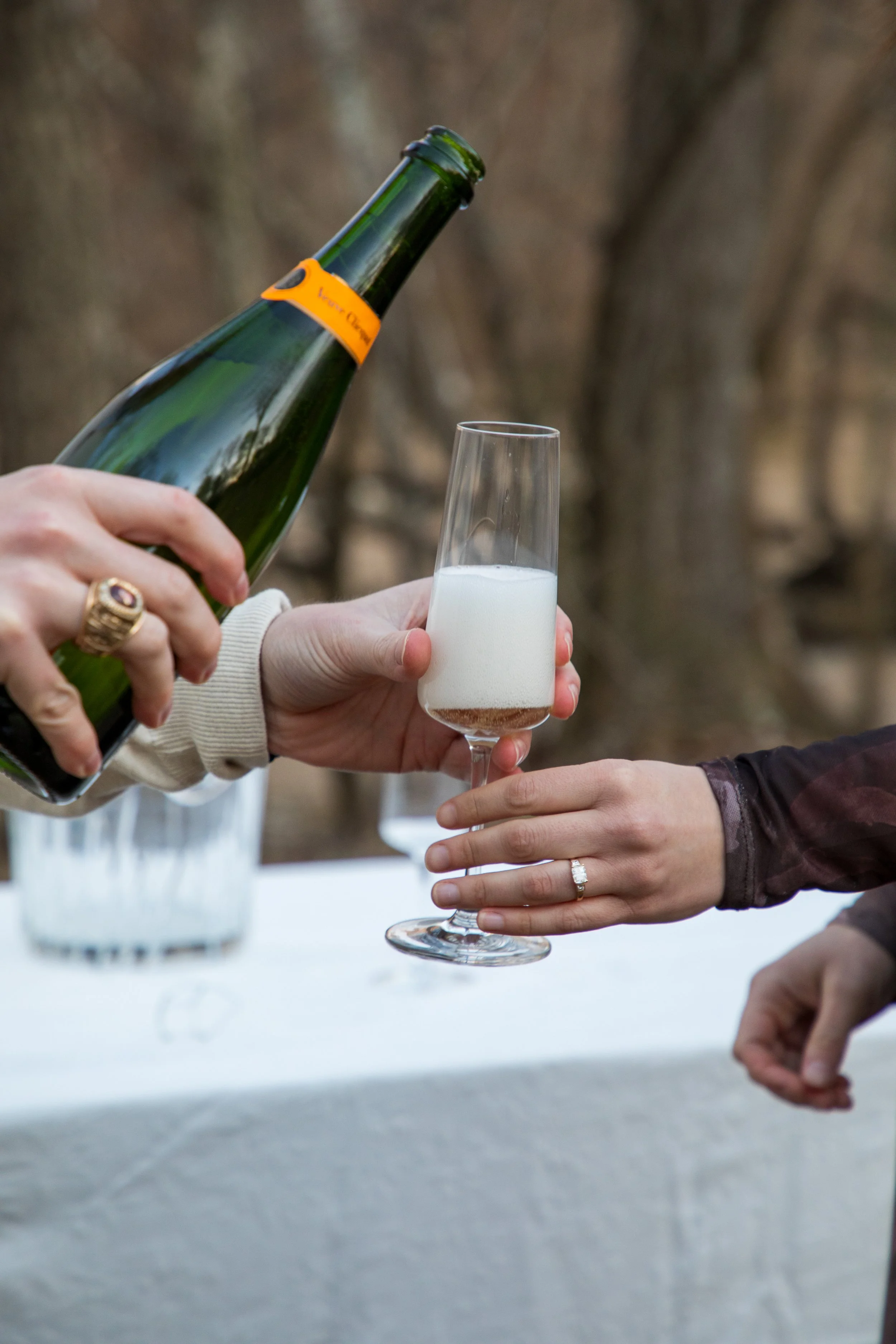 Engagement Photography by Will Locke near Richmond, VA in Montpelier. A newly engaged fiance is handed a champagne glass, with a table and a bottle of champagne in the background.