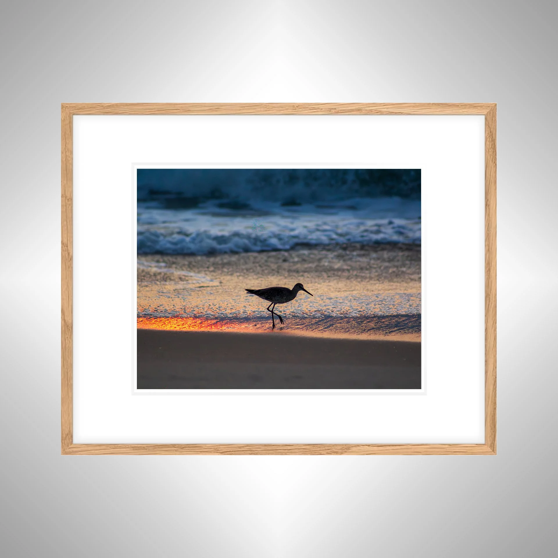 1:1 Willet Step- White w: Border copy NATTY.jpg