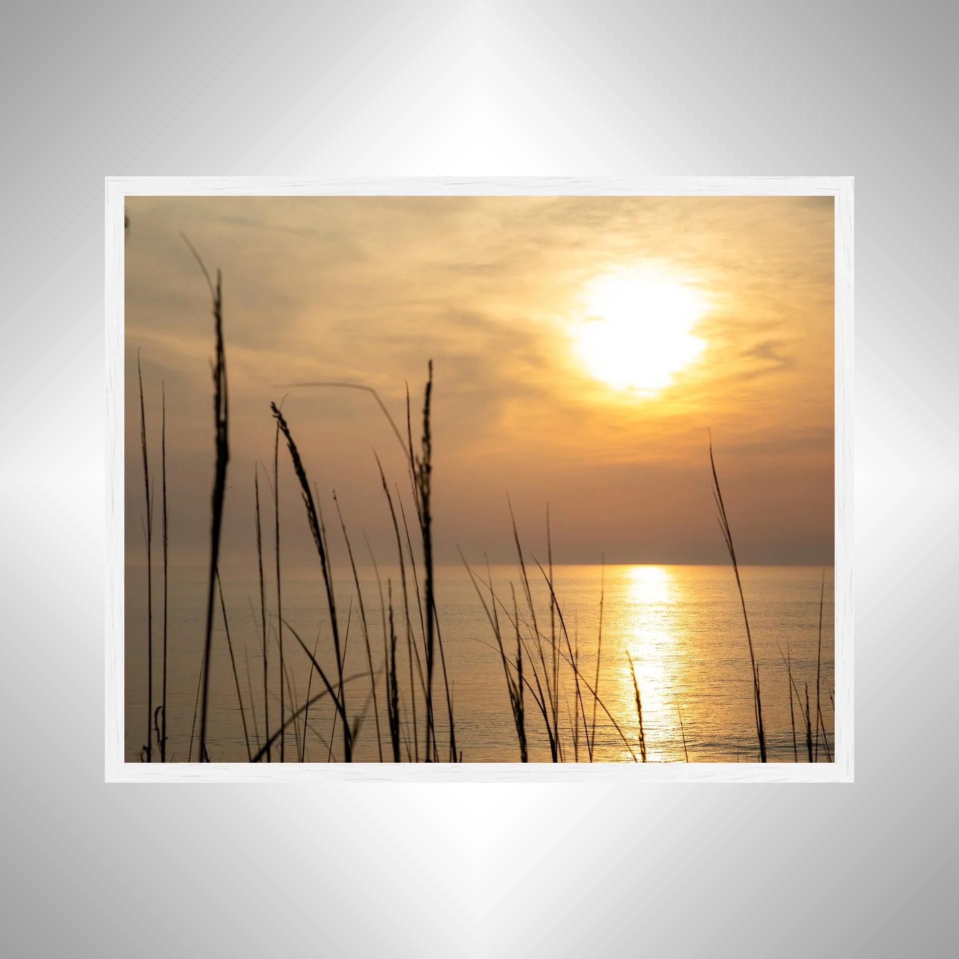 1:1 Sunrise Reflection thru Dunegrass- White.jpg