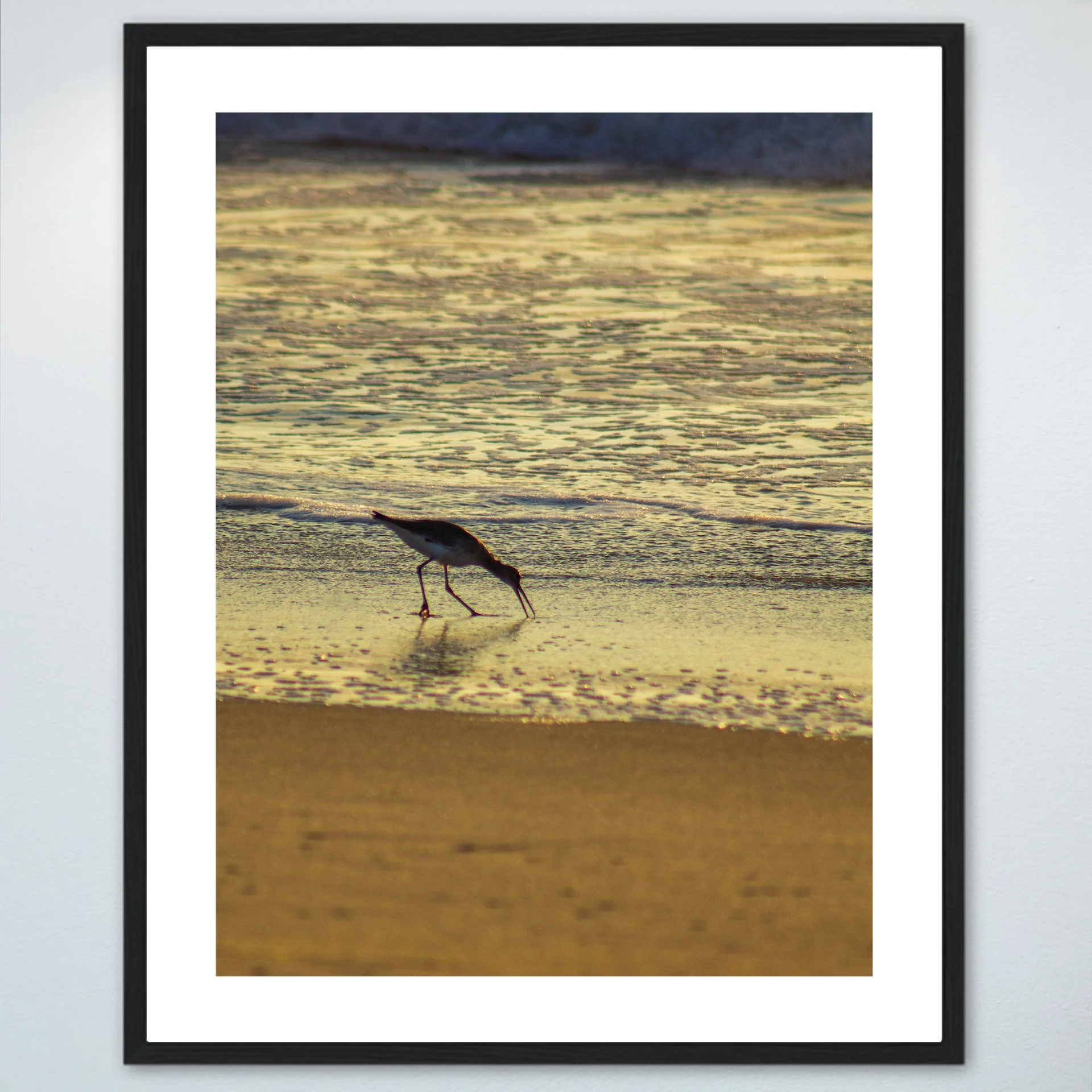 1:1 Willet Eating at Sunrise- Wood w: Border.jpg