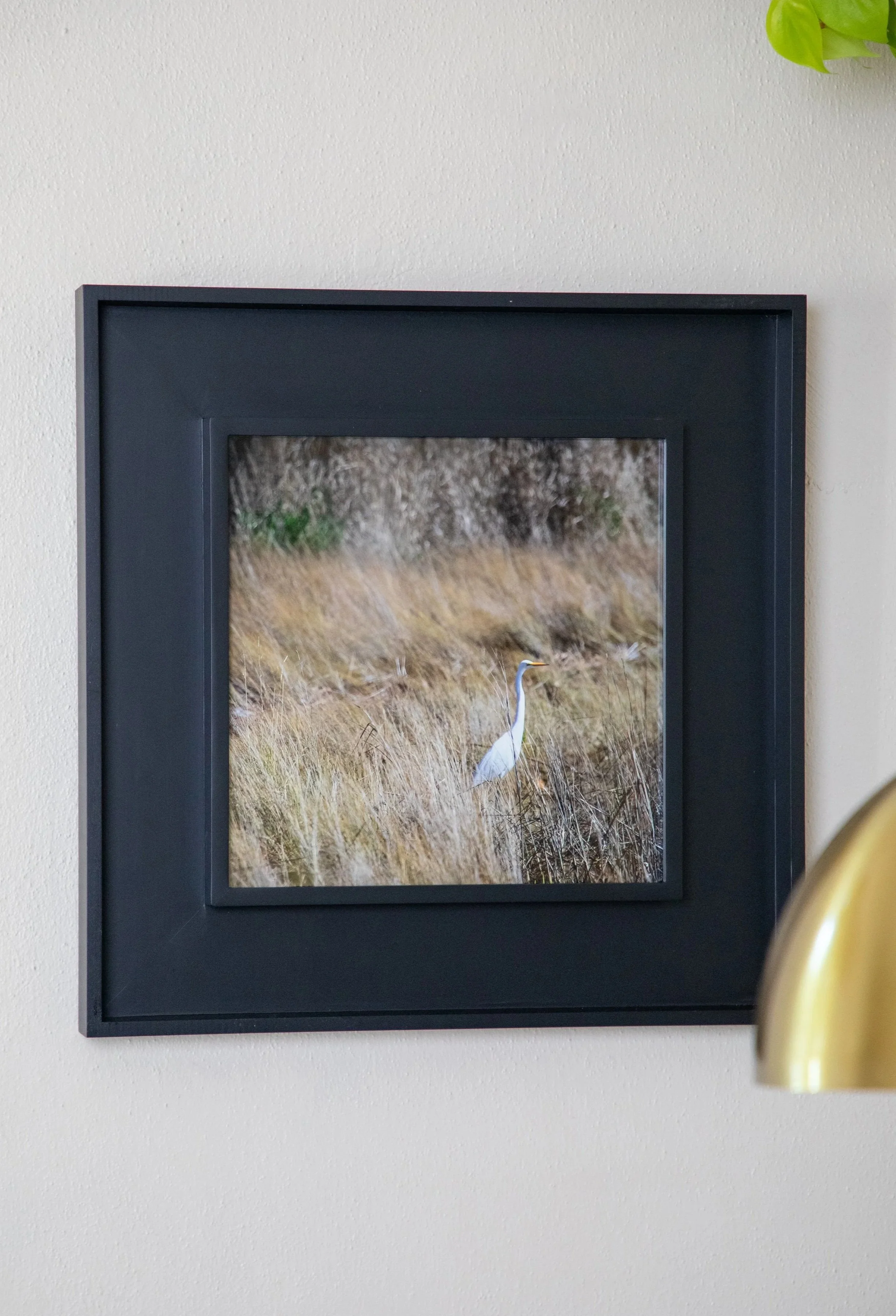 1/10 Sitting Egret (Square) in Black Wooden Window Mounted Frame (On Hand)