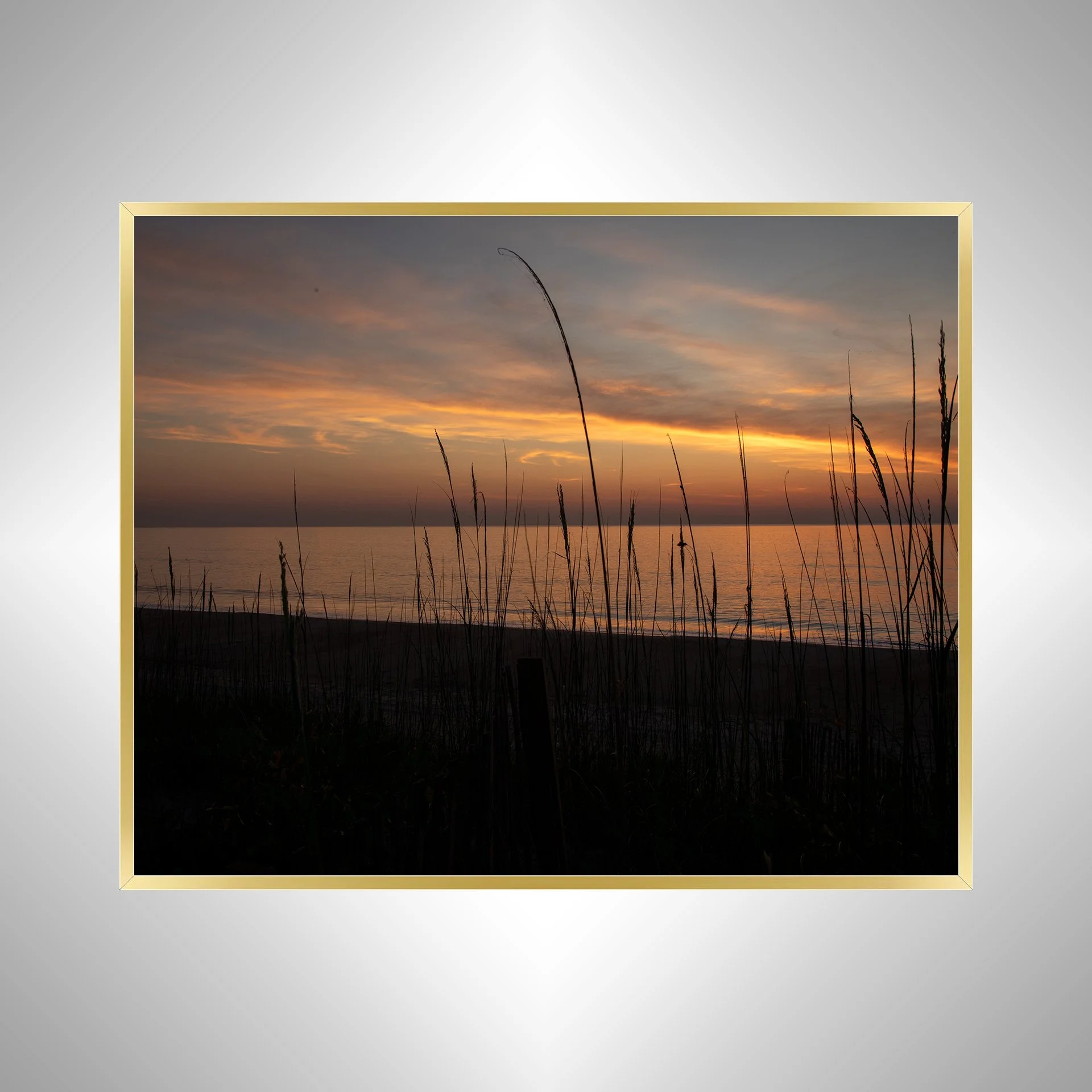 1:1 Sunrise behind Dunegrass- Gold.jpg