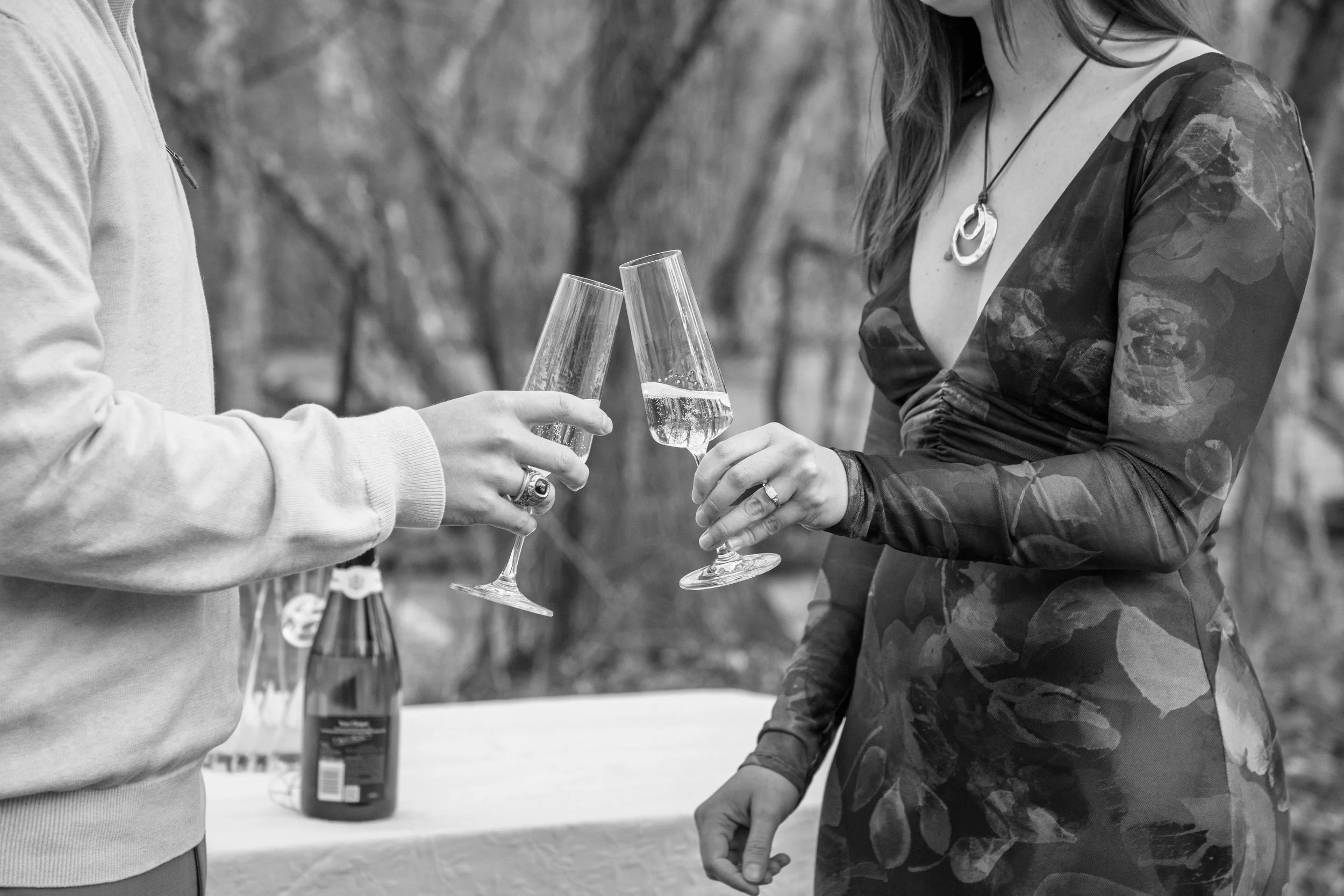 Engagement Photography by Will Locke near Richmond, VA in Montpelier. Two women clink champagne glasses outdoors, with a table and a bottle of champagne in the background.