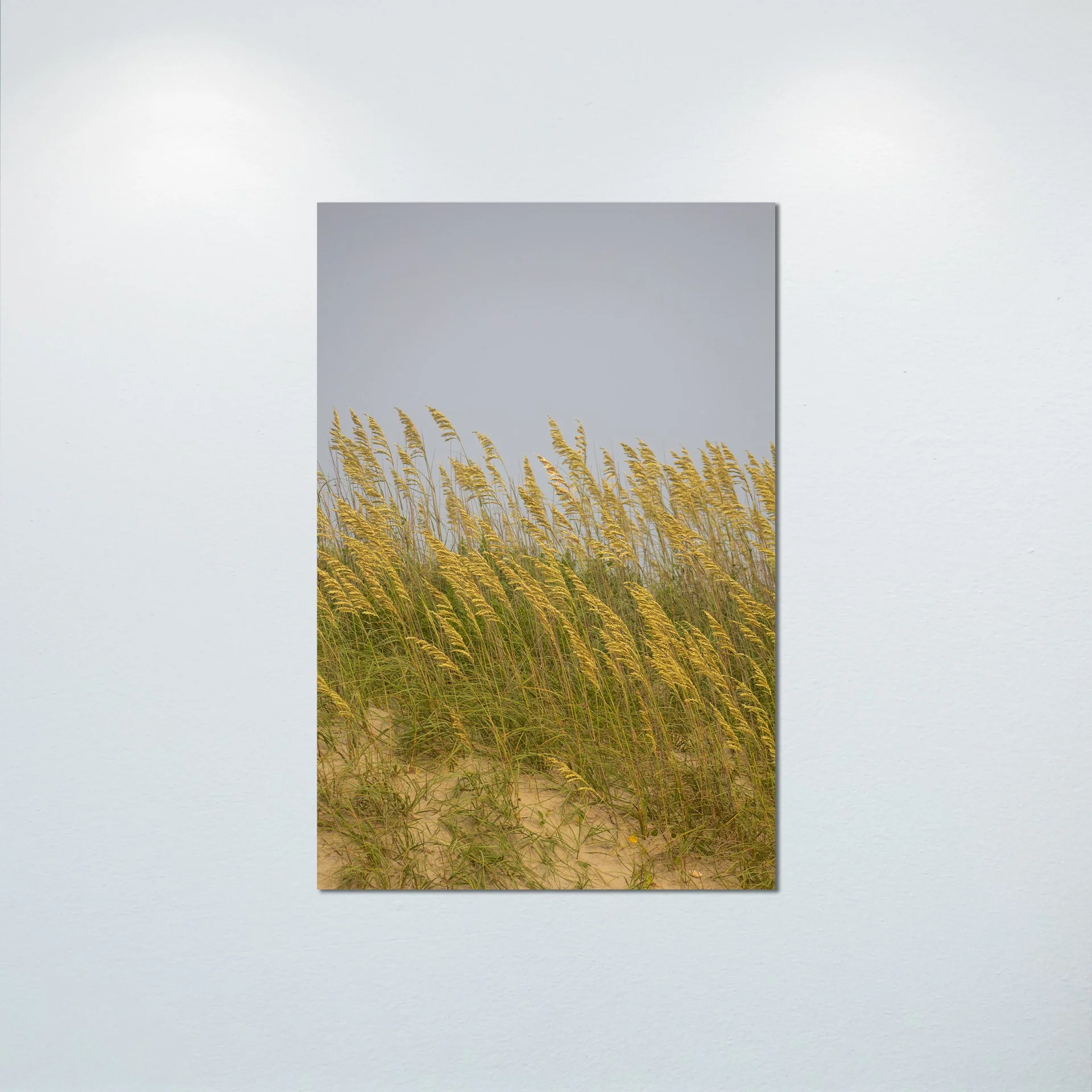 1:1 Rodanthe Dune Oats (Portrait)- Poster & Canvas.jpg