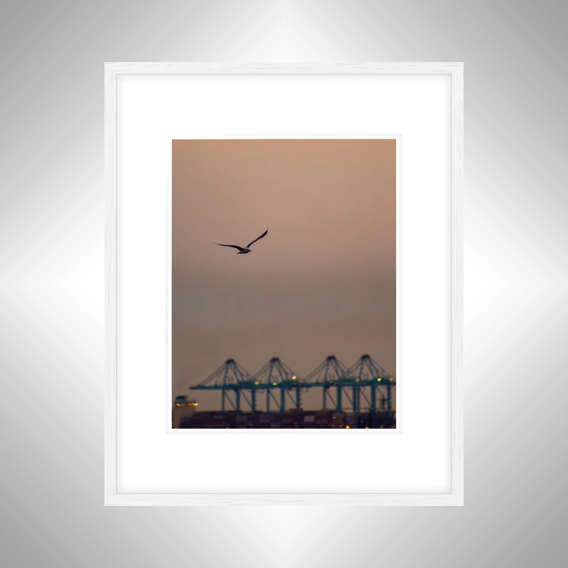 1:1 Seagull with Terminal Cranes- White w: Border.jpg