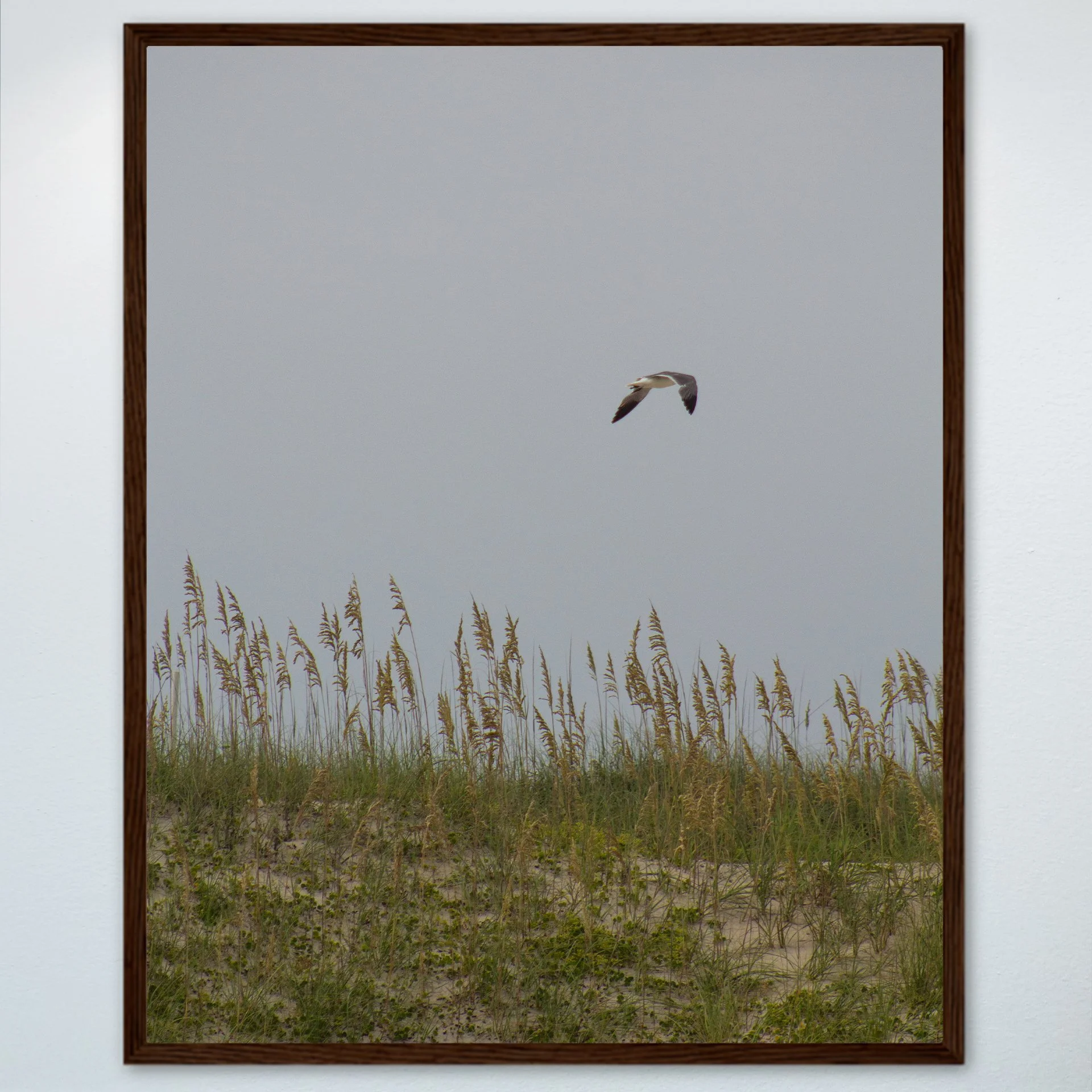 1:1 Seagull with Sea Oats- Wood.jpg