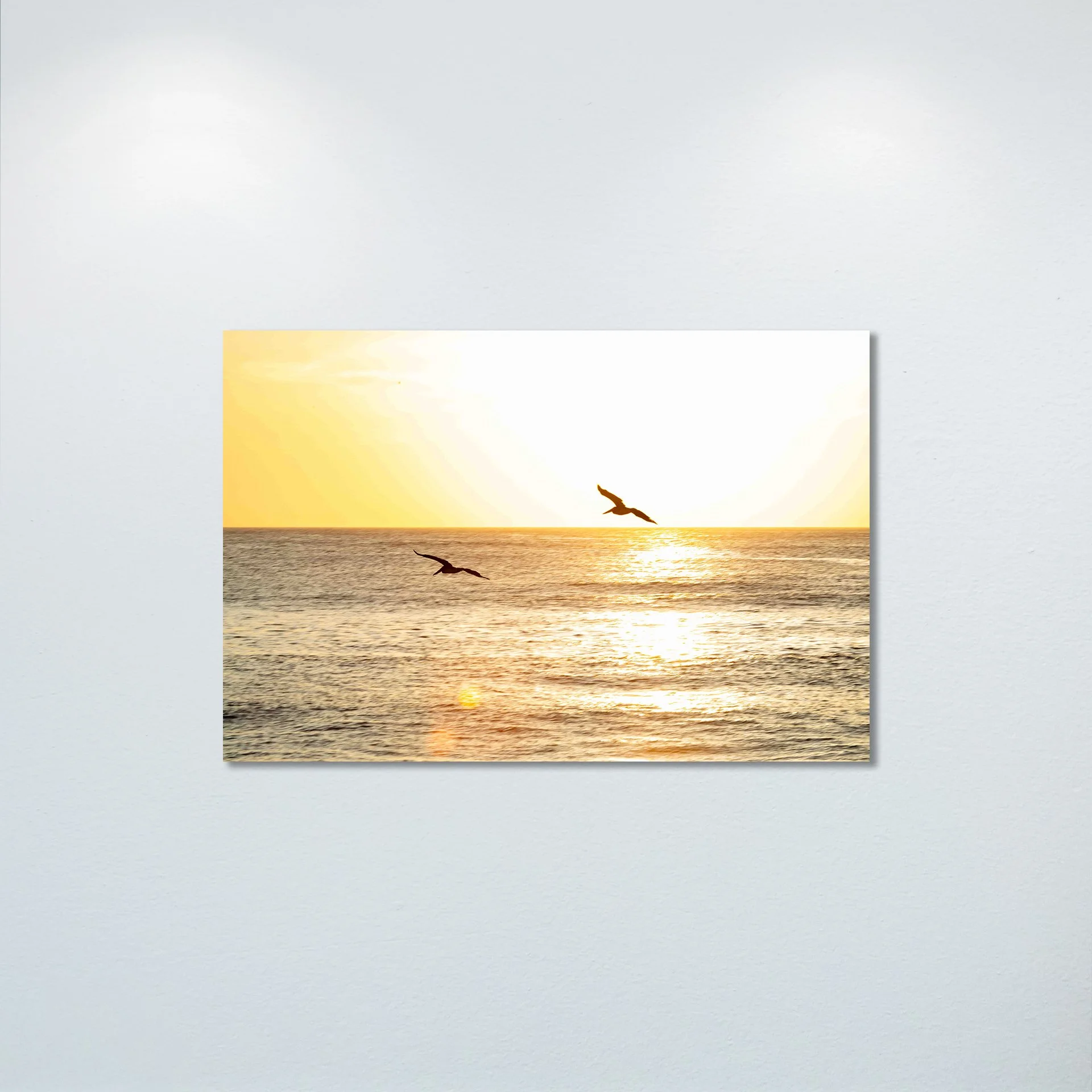 1/10 Gliding to the Sunrise