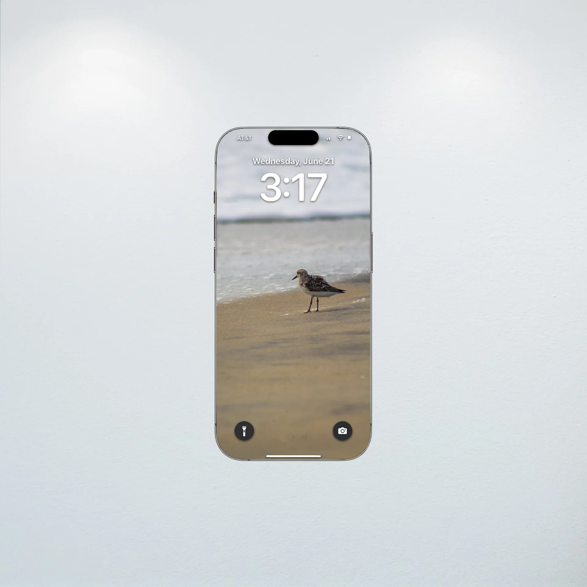 1:10 Sanderling at the Beach- Wallpaper.jpg