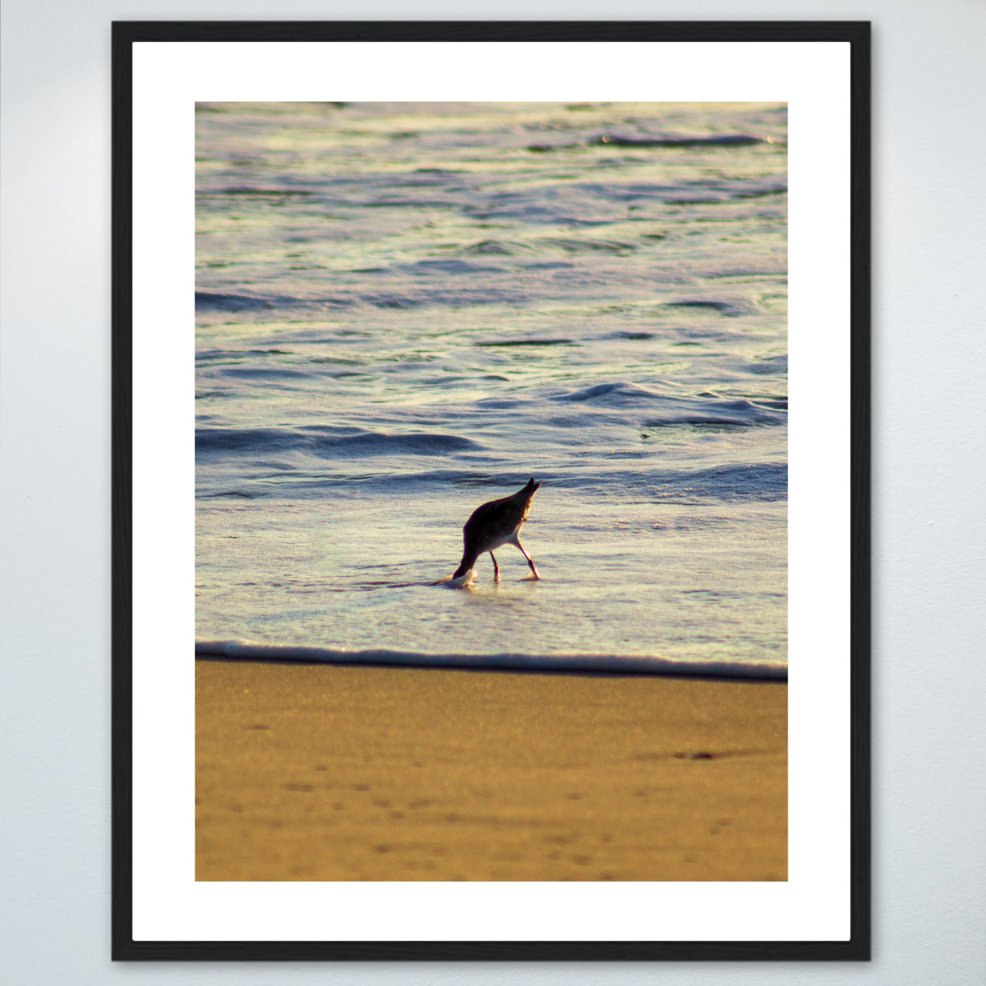 1:1 Willet Hunting- Wood w: Border.jpg