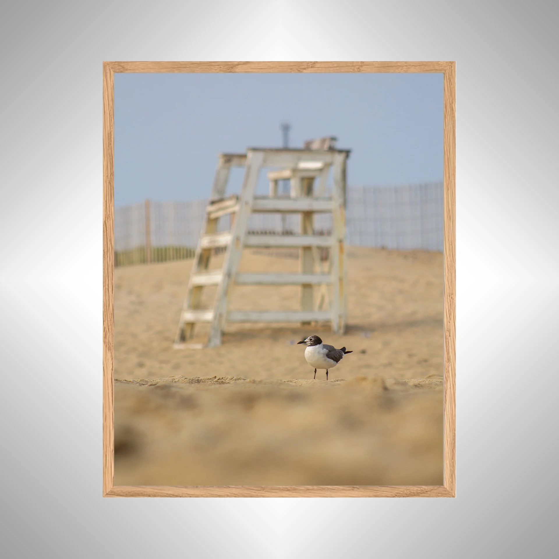 1:1 Lifeguard Gull- White Wood copy NATTY.jpg