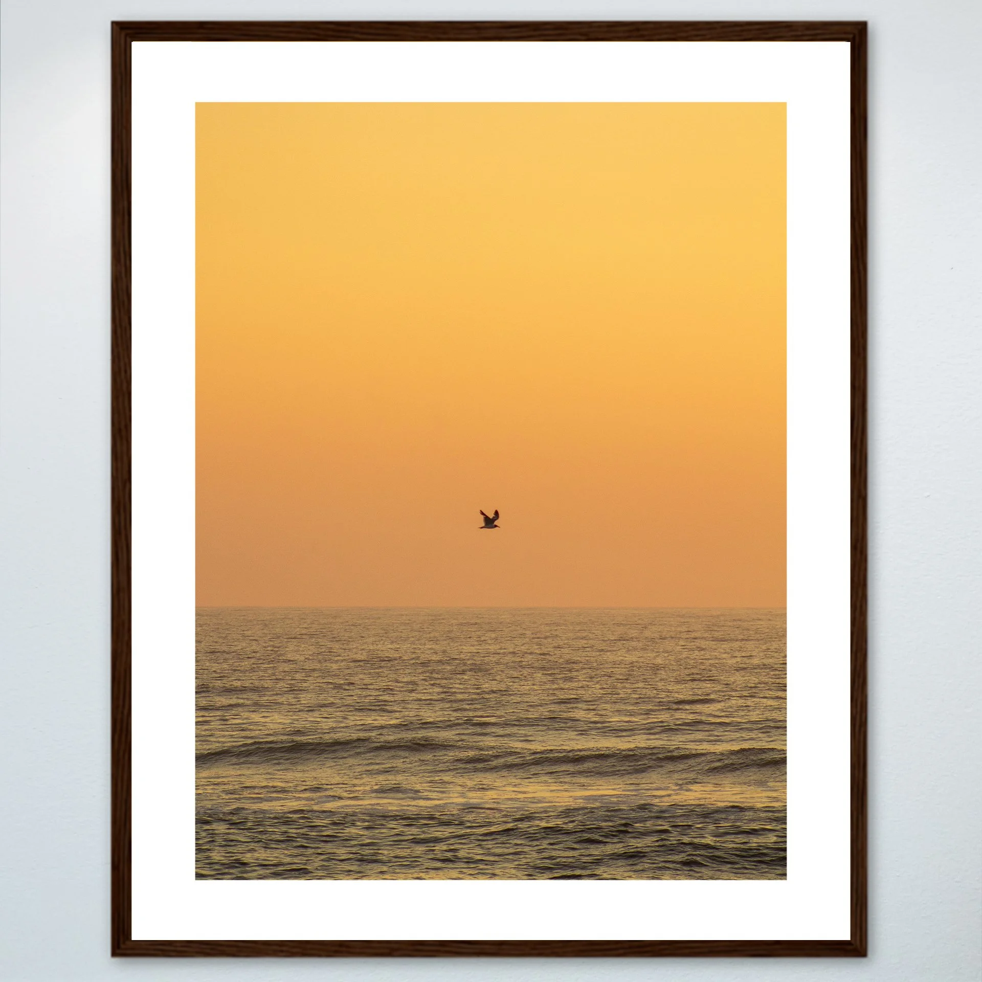 1:10 Sunrise Soaring Seagull- Wood w: Border.jpg