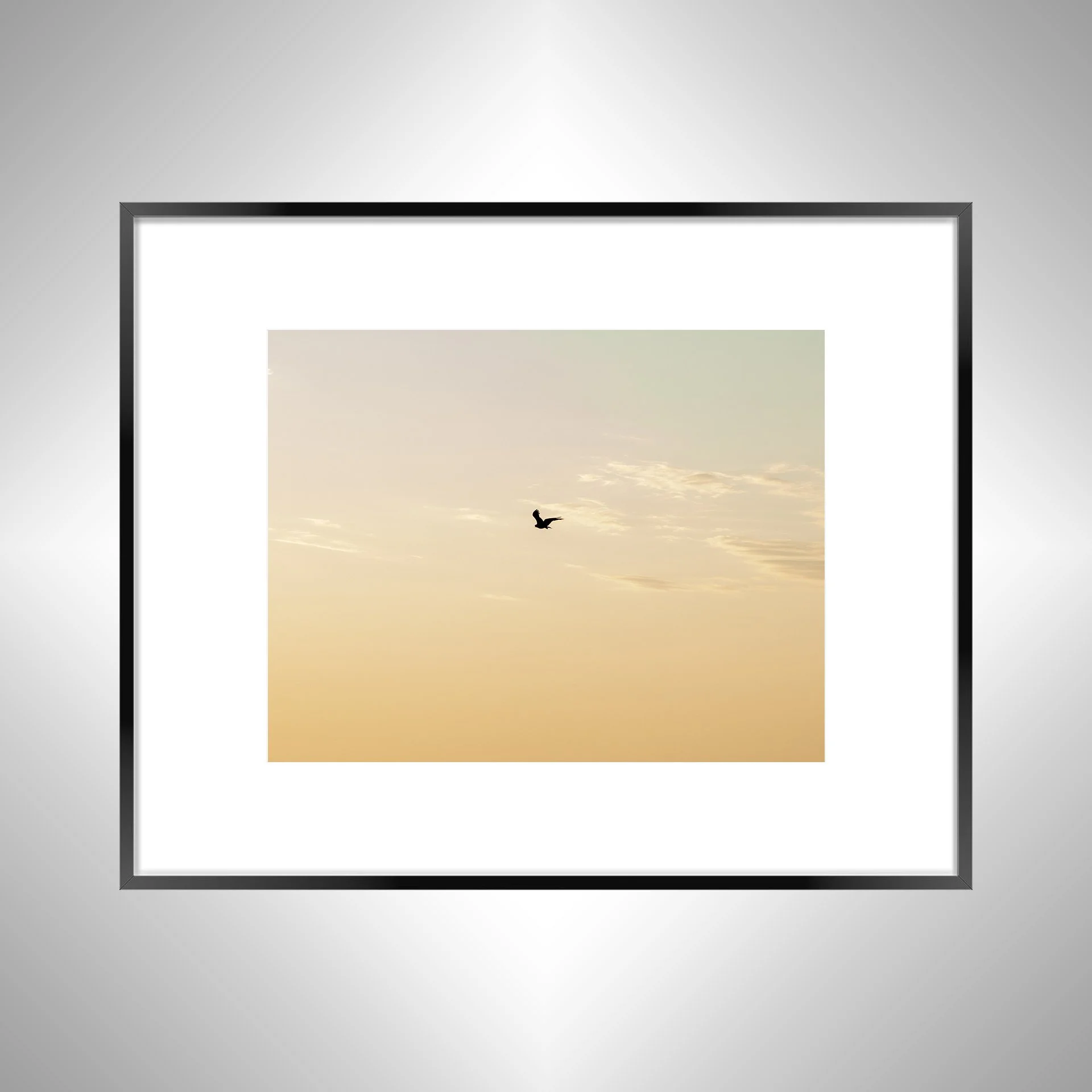 1:10 Golden Gull on Horizon- Black w: Border.jpg