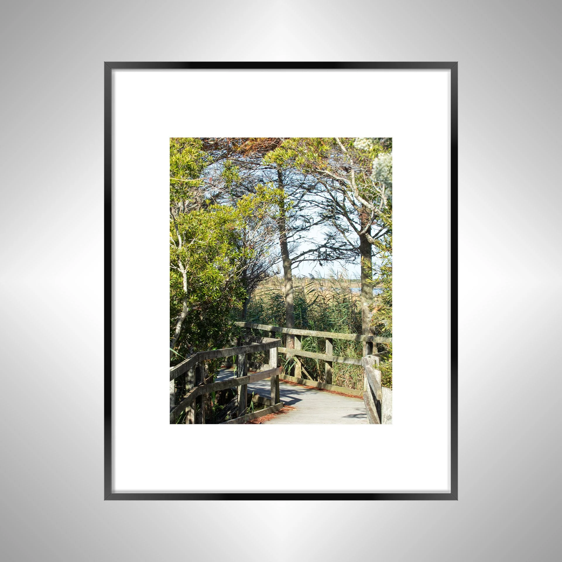 1:1 Back Bay National Wildlife Refuge Boardwalk- Black Metal w: Border.jpg