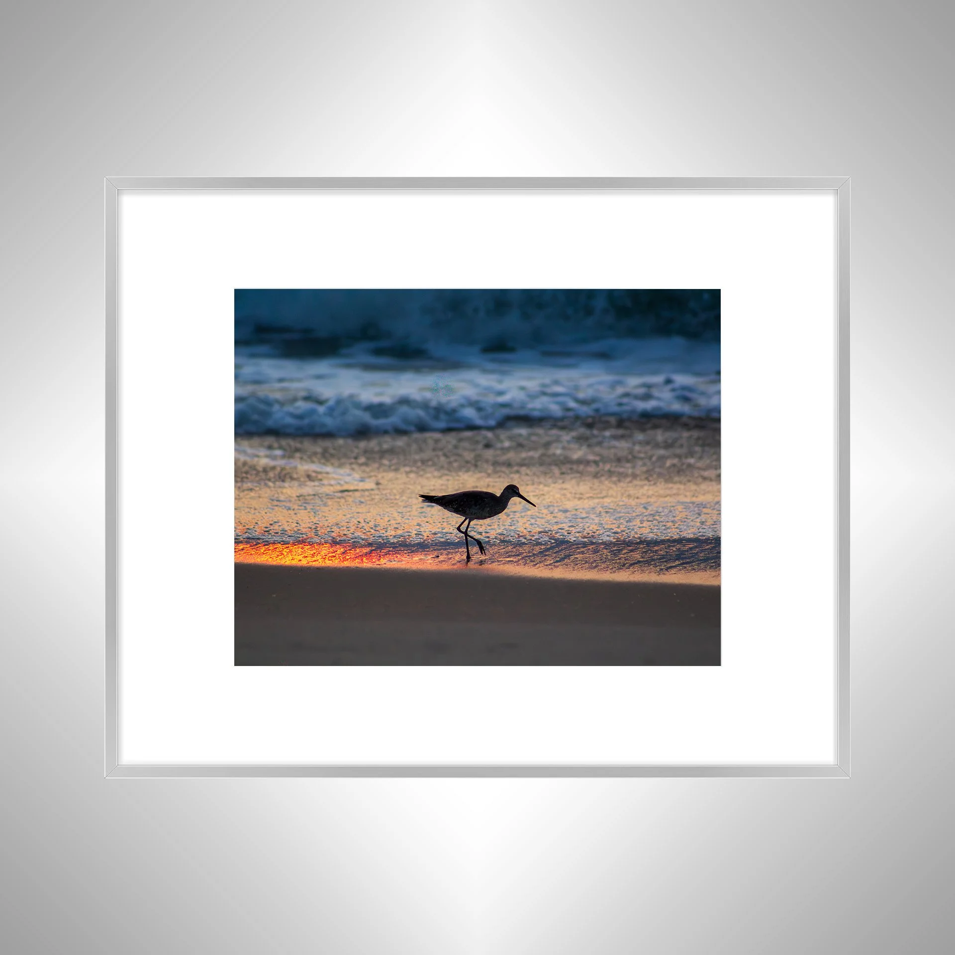 1:1 Willet Step- Silver w: Border.jpg