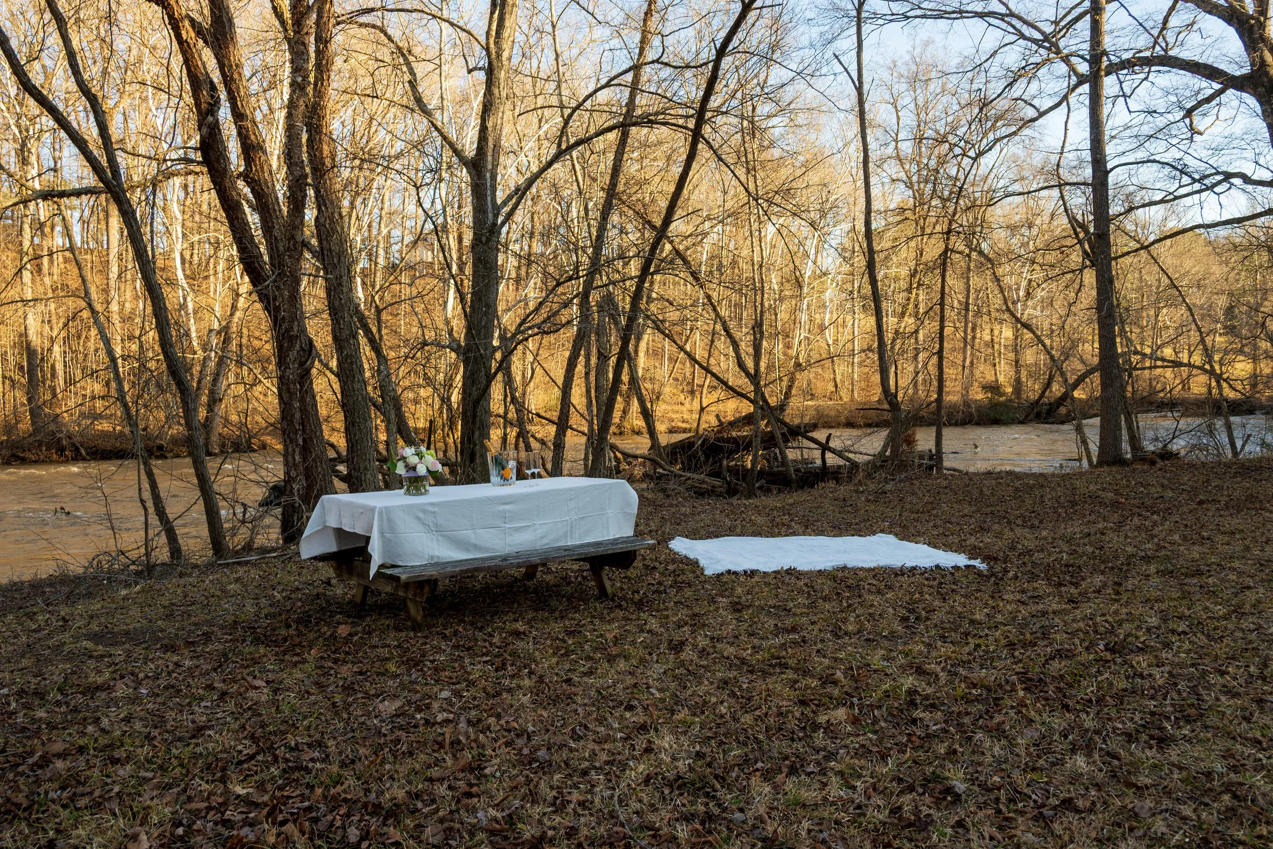An outdoor scene with a wooden table covered with a white tablecloth, set up beside a river in a wooded area, with a bouquet of flowers and a pitcher on the table. Engagement Photography by Will Locke near Richmond, VA in Montpelier. 
